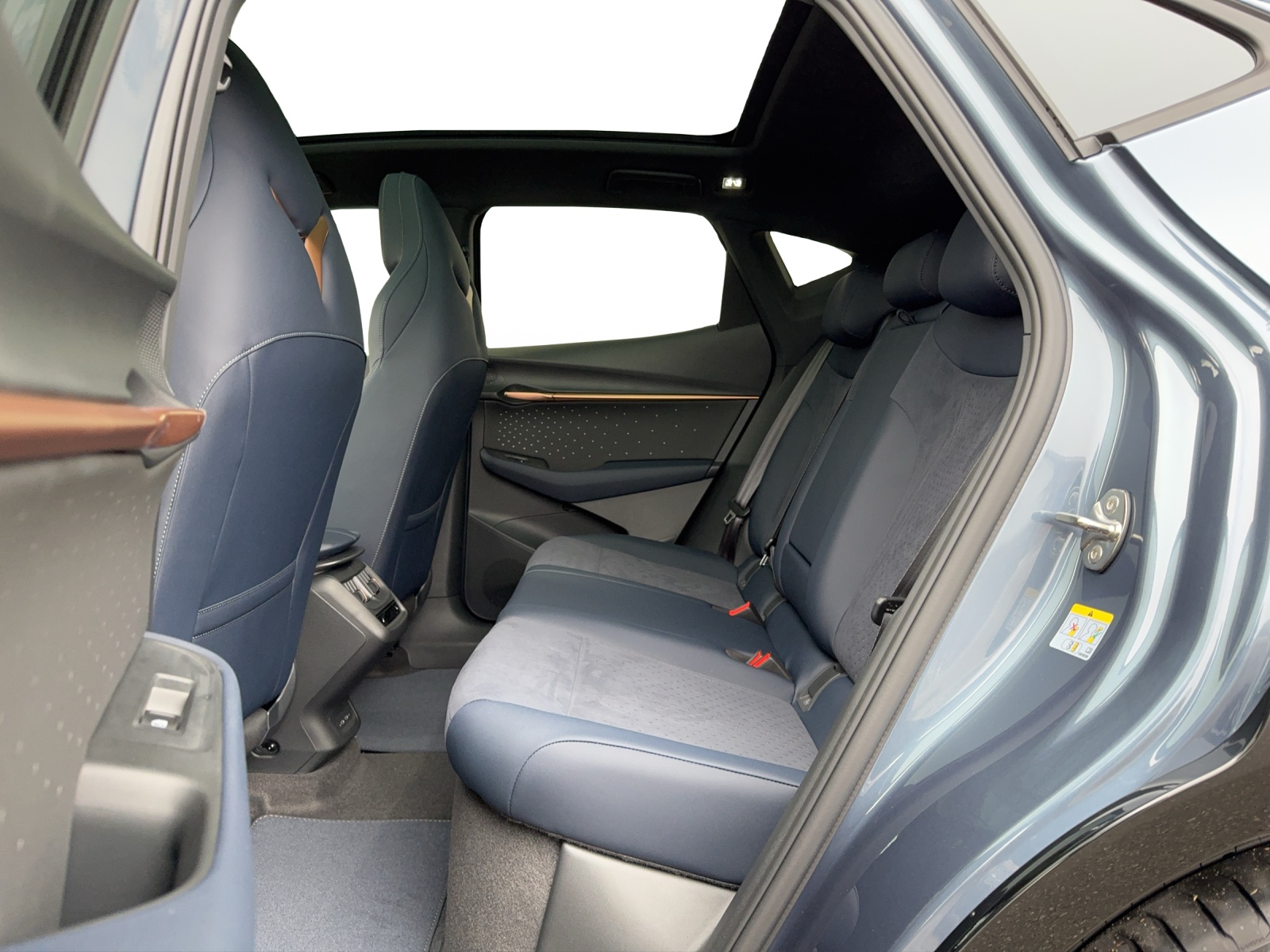 CUPRA Tavascan VZ Type 9-image-5