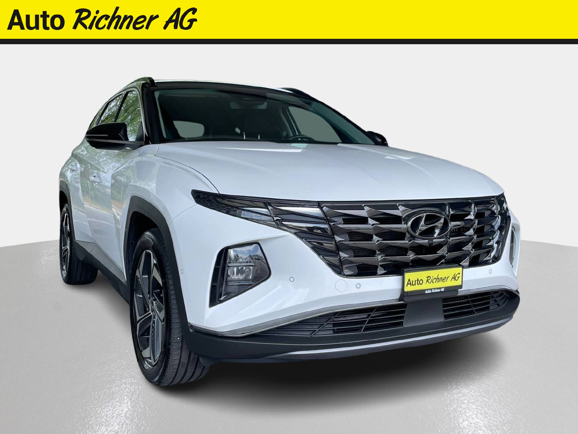 HYUNDAI Tucson 1.6 T-GDi HEV Vertex 4WD