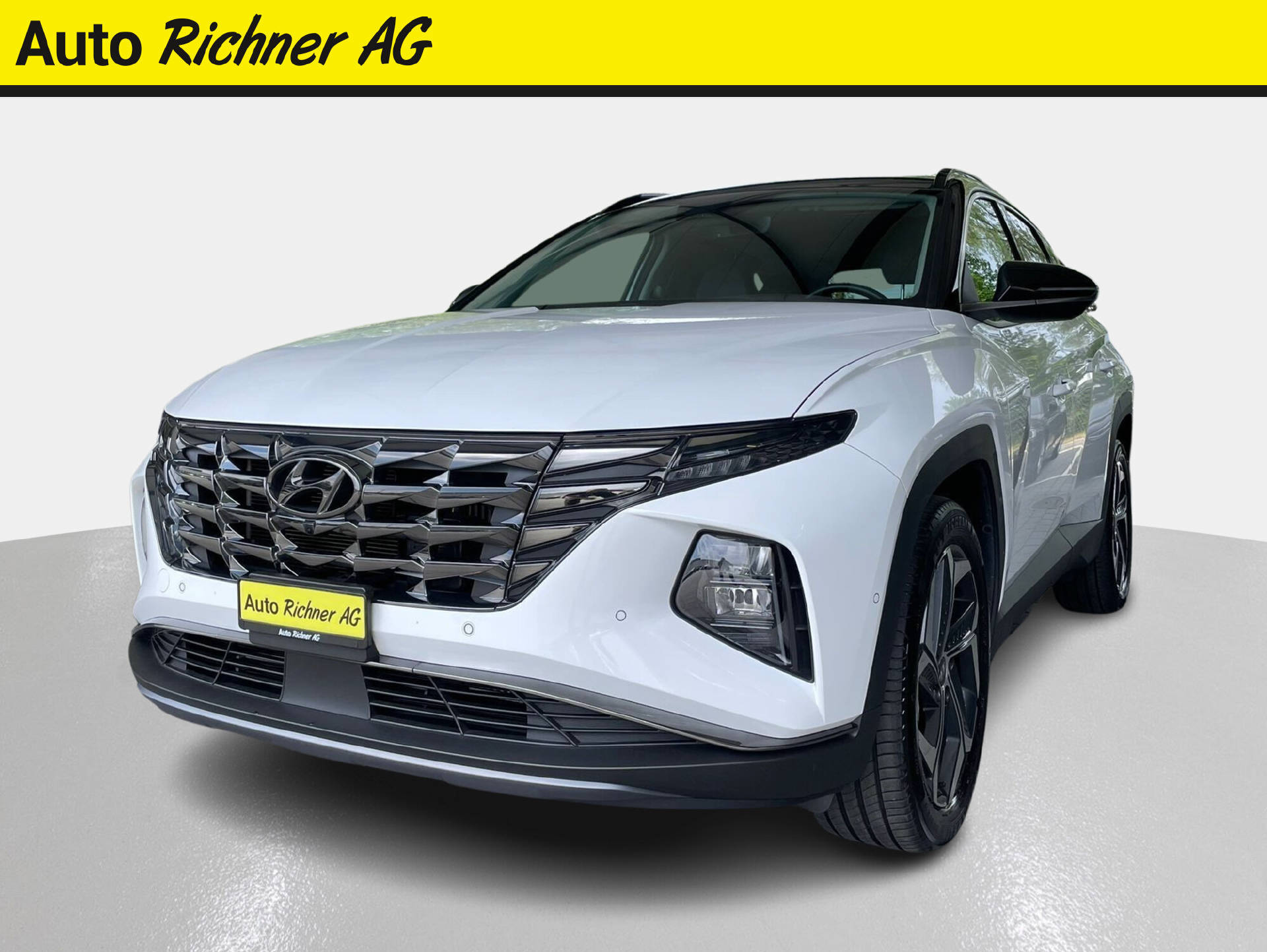 HYUNDAI Tucson 1.6 T-GDi HEV Vertex 4WD-showroom-element-1