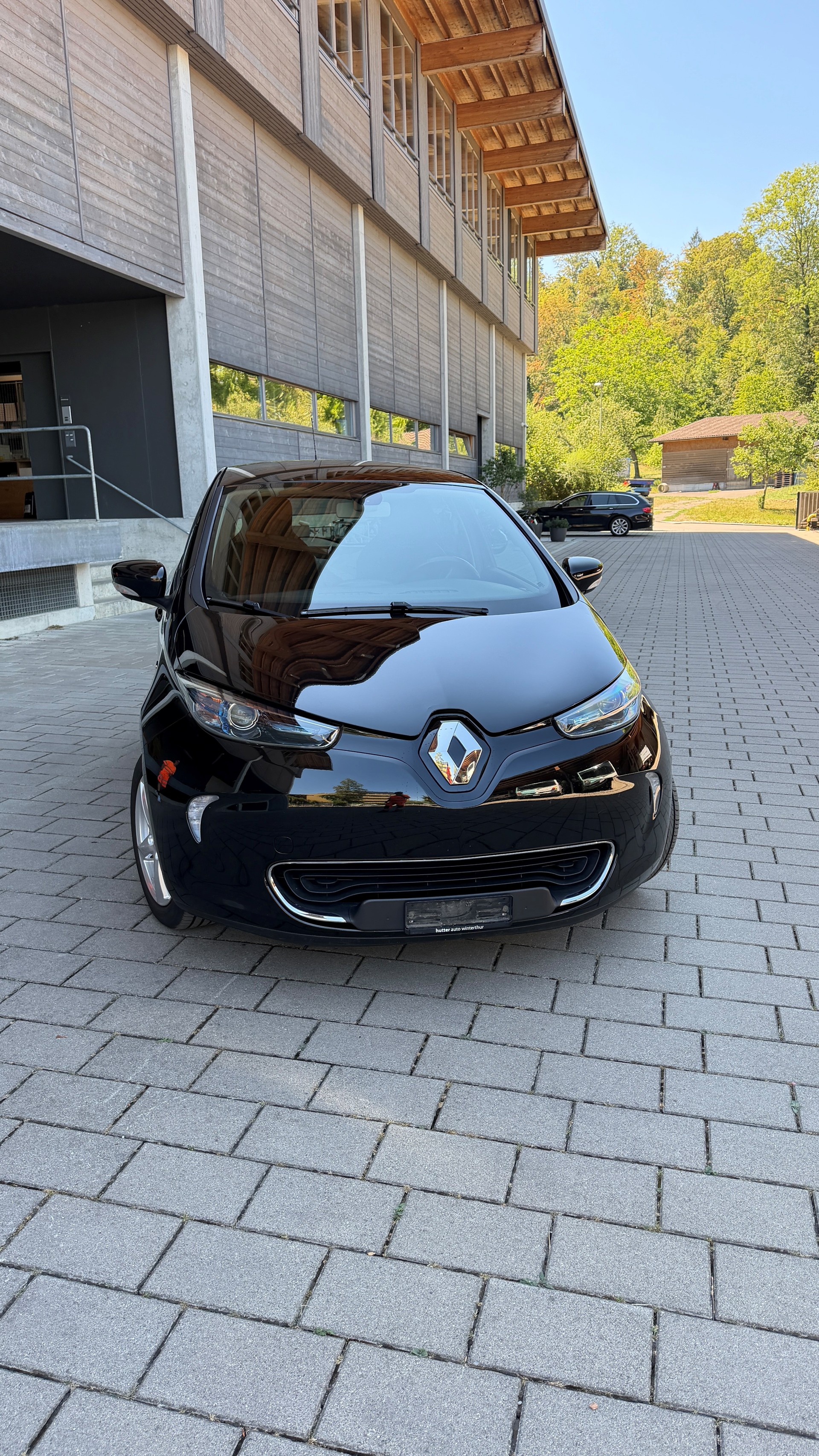RENAULT R110 Limited-image-1
