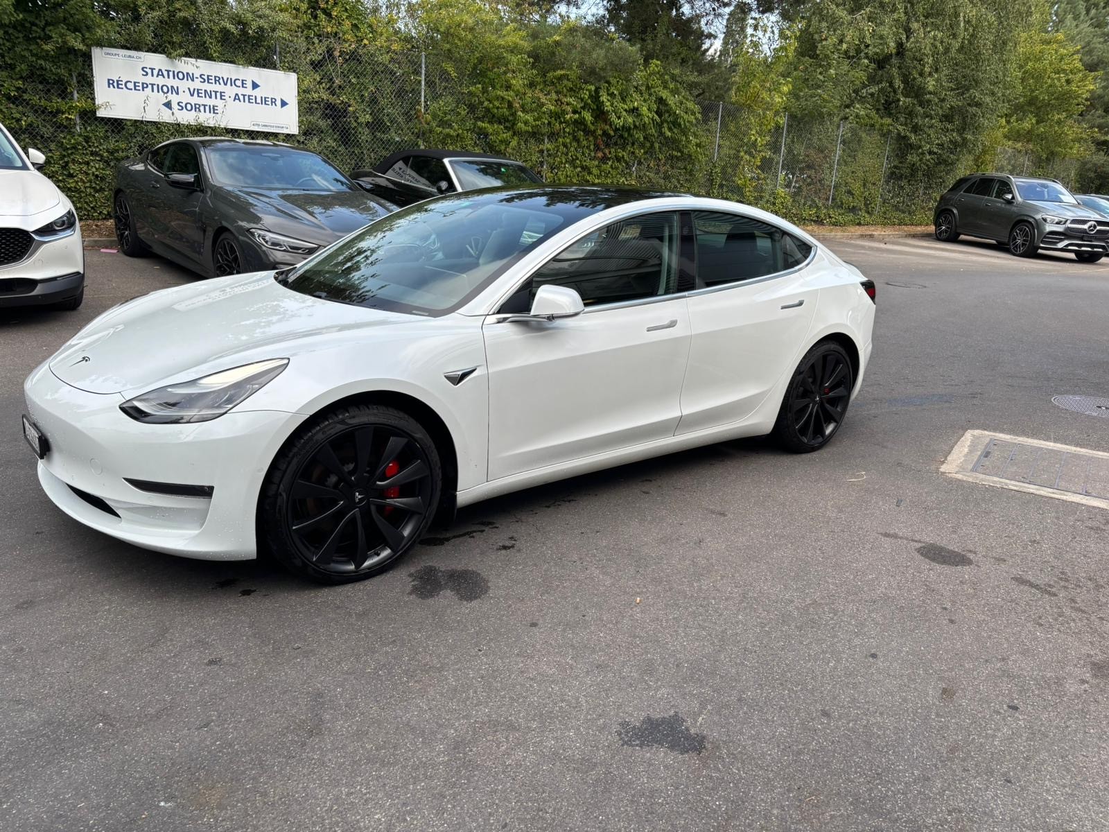 TESLA Performance-image-0