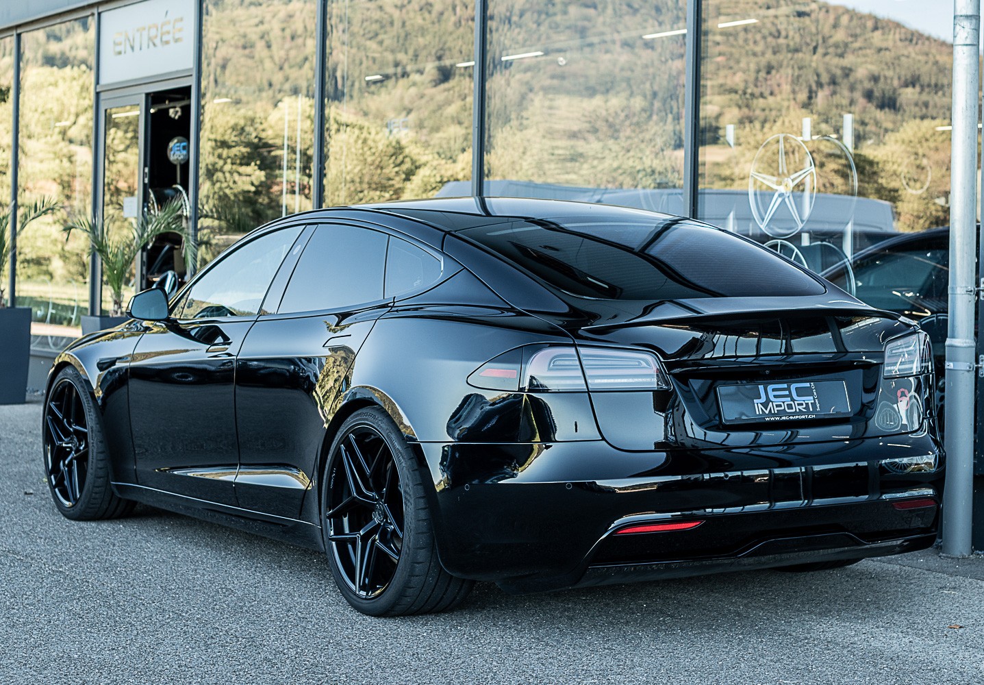 TESLA Model S 100 kWh Plaid-image-3