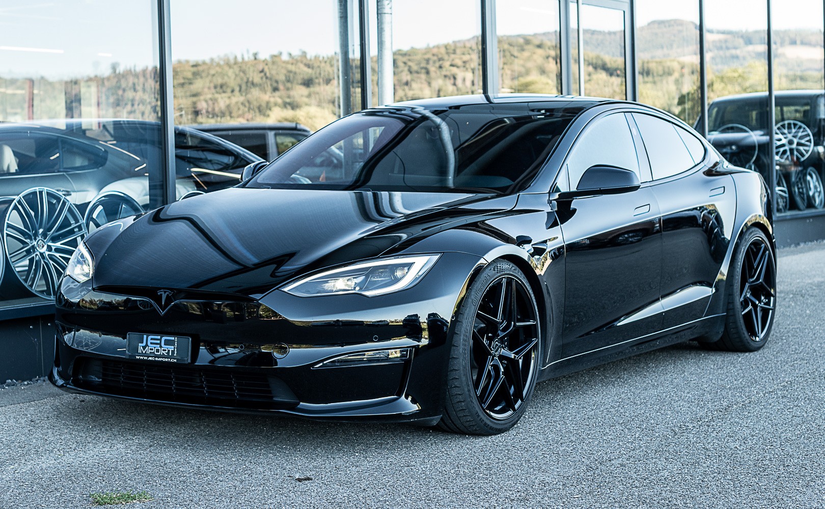 TESLA Model S 100 kWh Plaid-image-1