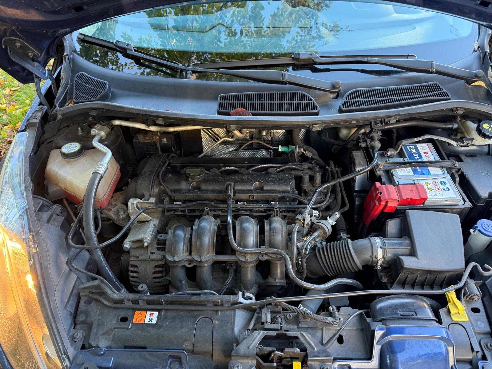 FORD Fiesta 1.25 16V Trend-image-6