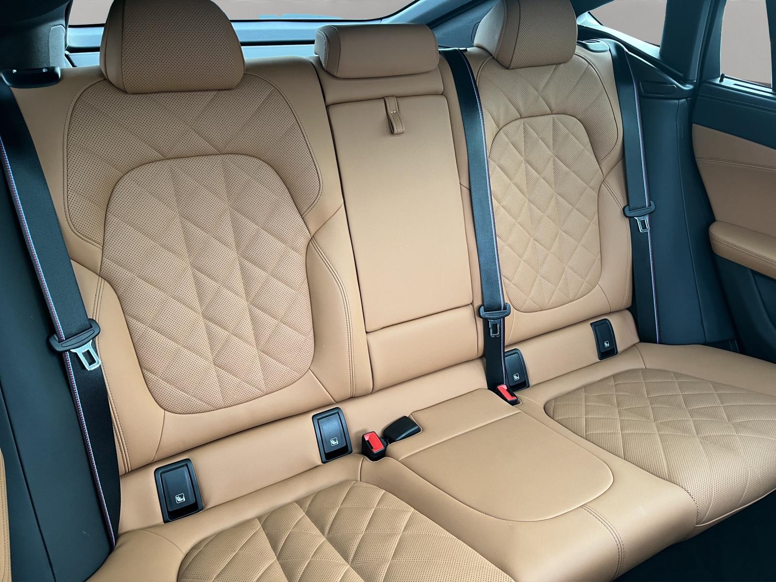 BMW X6 xDrive 48V 40i M Sport Pro Steptronic-image-18