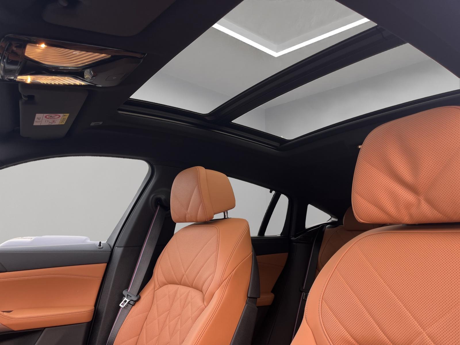 BMW X6 xDrive 48V 40i M Sport Pro Steptronic-image-17