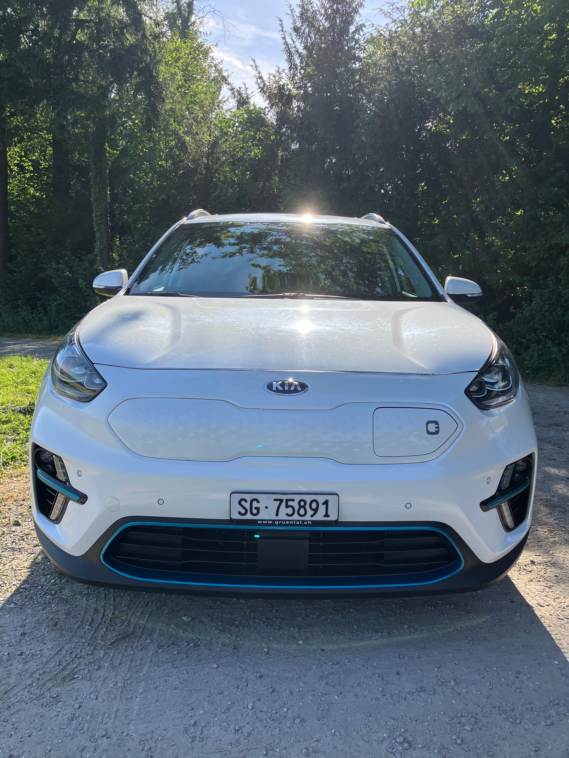 KIA Style PLUSElectric-image-3