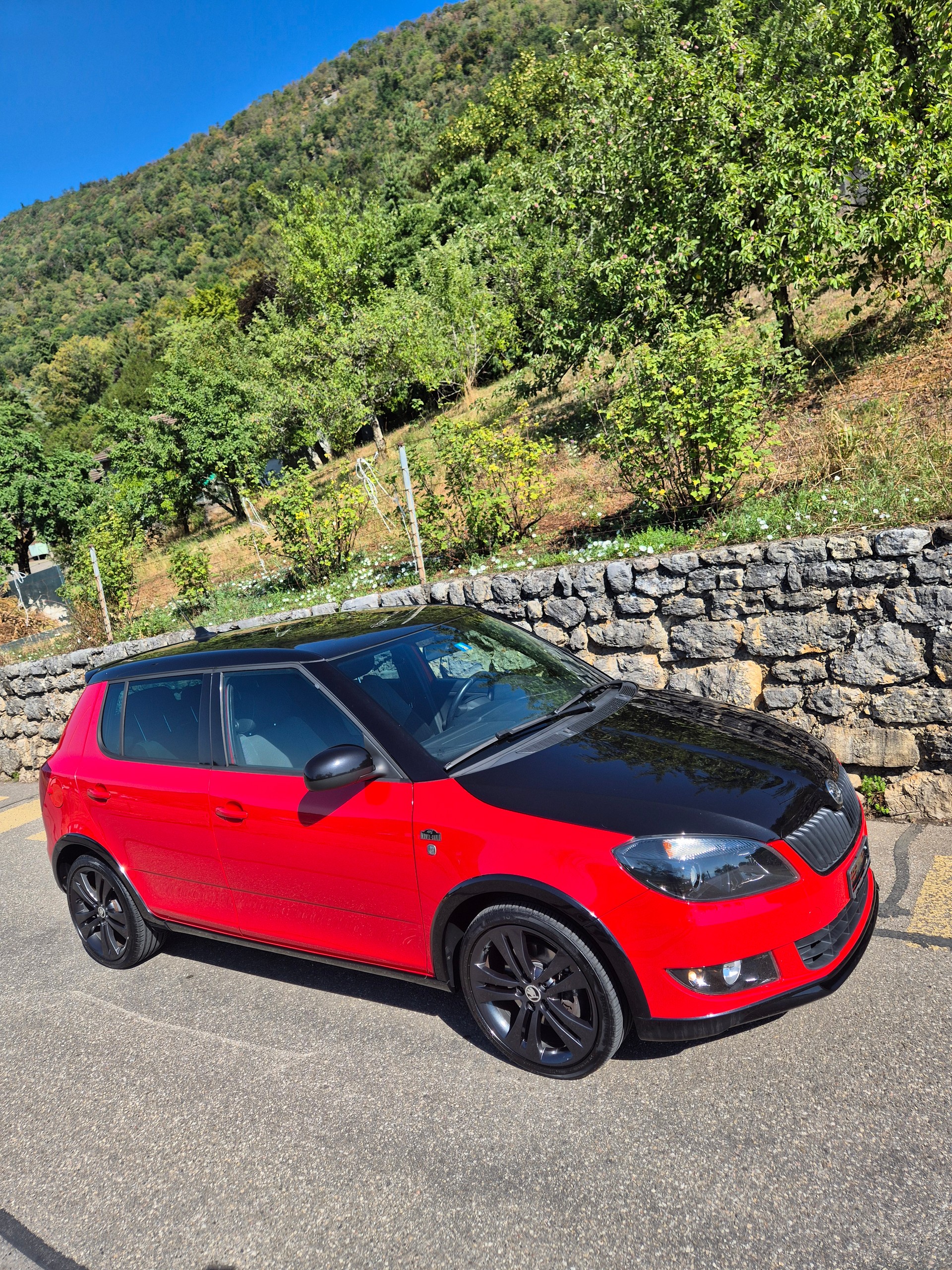 SKODA Fabia 1.2 TSI Monte Carlo DSG