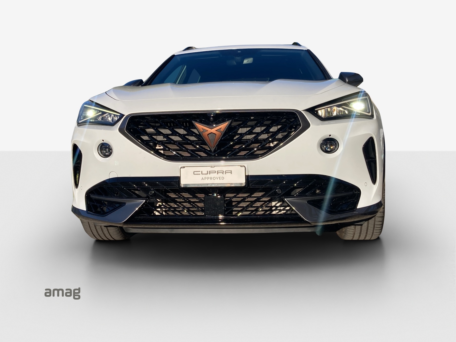 CUPRA Formentor 2.0TSI VZ 4Drive DSG-image-6