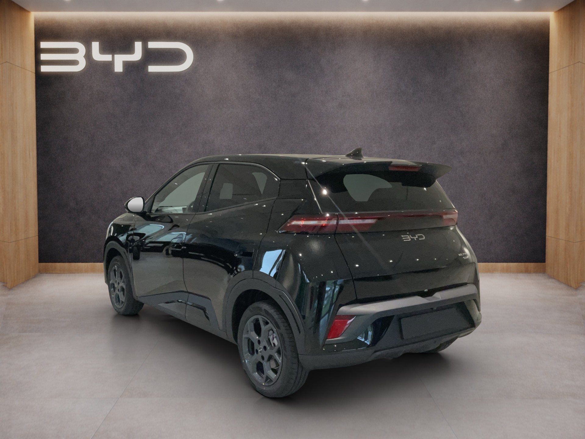 BYD Dolphin Surf Comfort-image-3