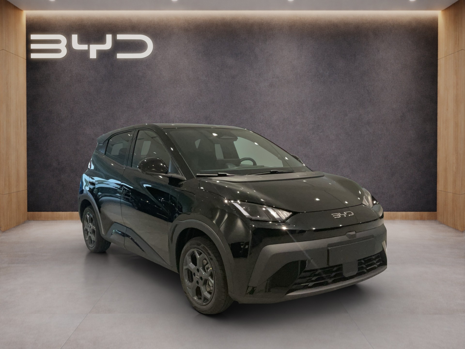 BYD Dolphin Surf Comfort-image-7