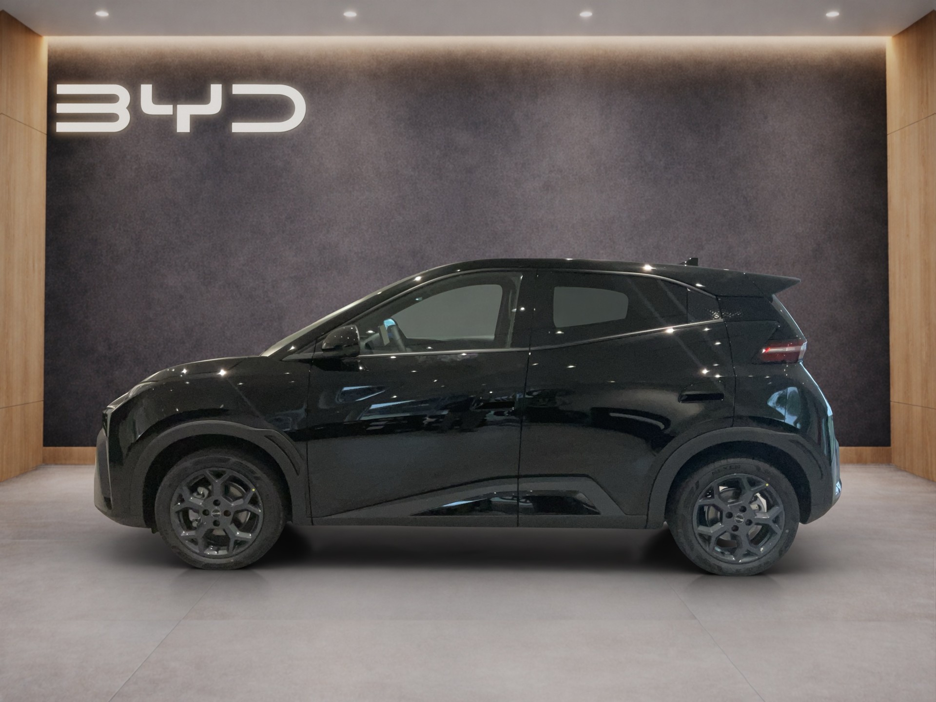 BYD Dolphin Surf Comfort-image-2