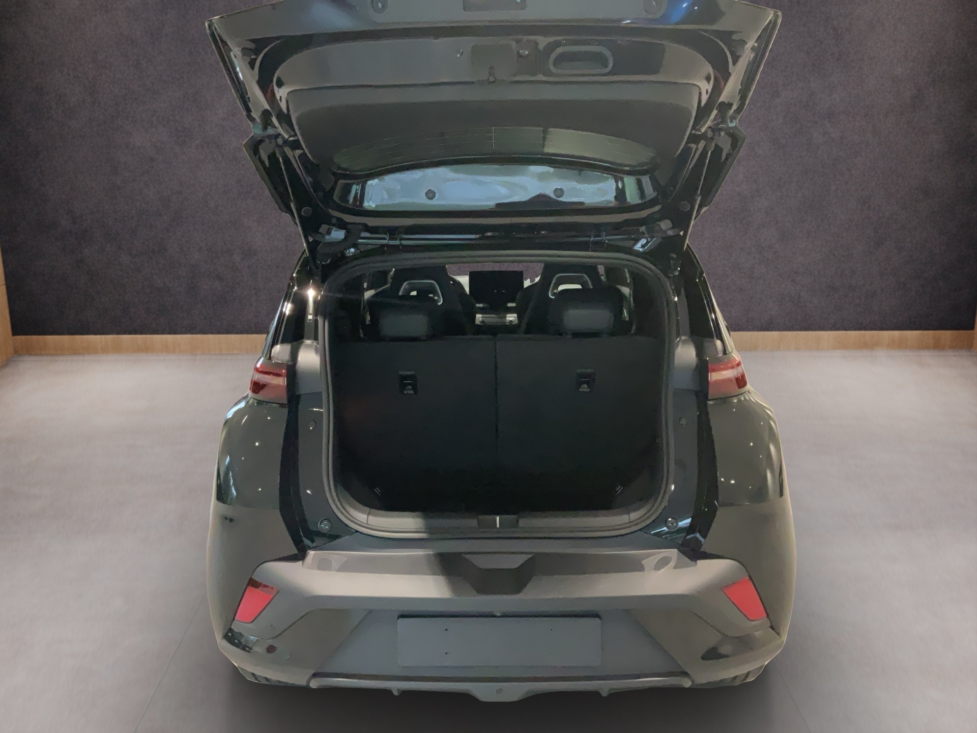 BYD Dolphin Surf Comfort-image-12
