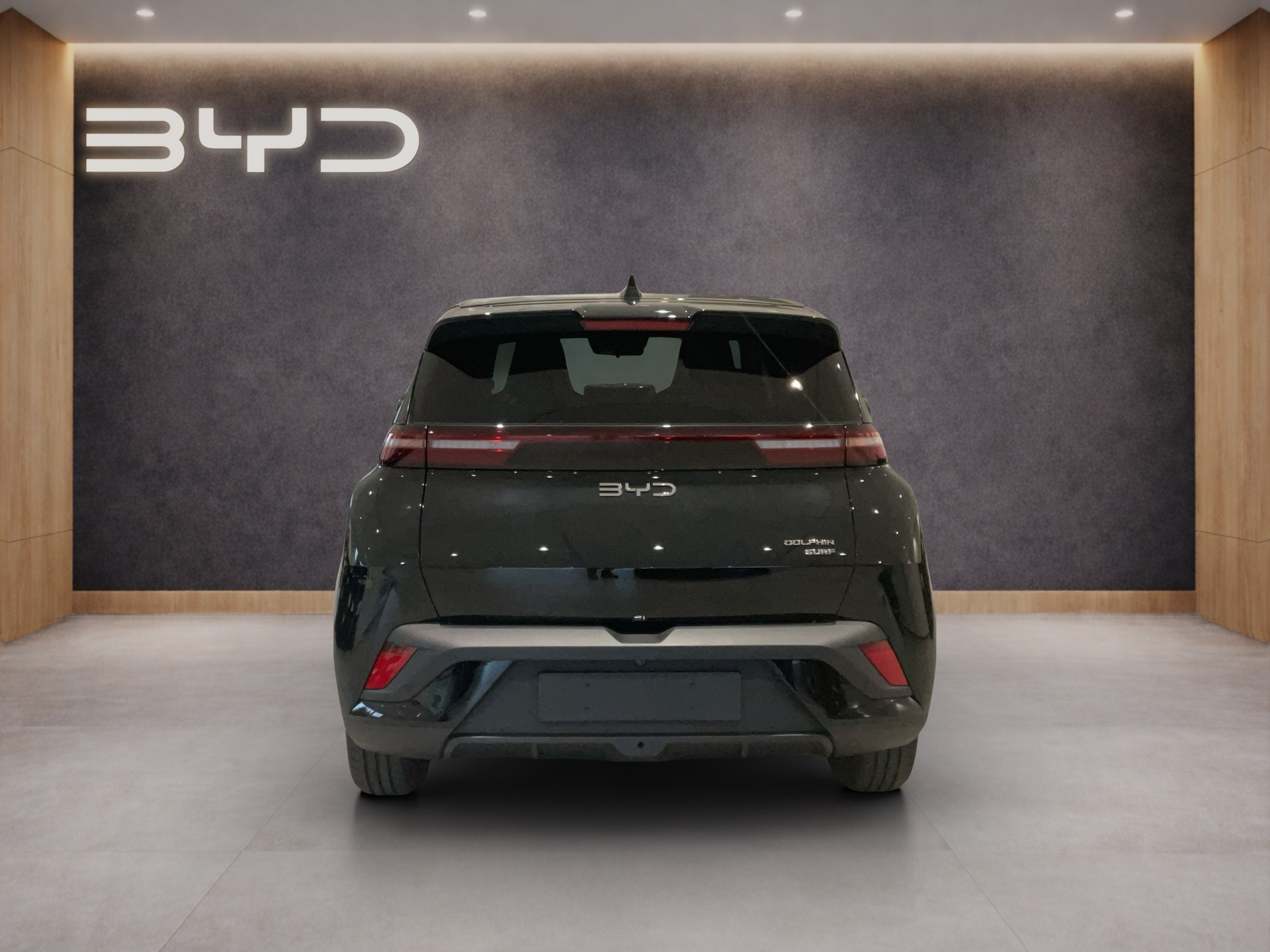 BYD Dolphin Surf Comfort-image-4