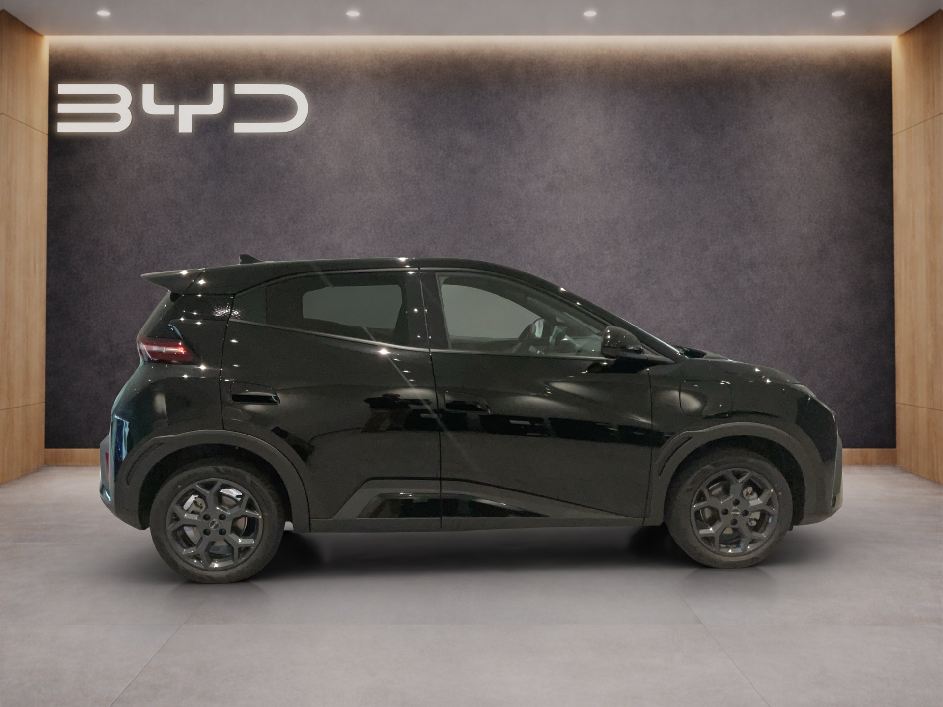 BYD Dolphin Surf Comfort-image-6