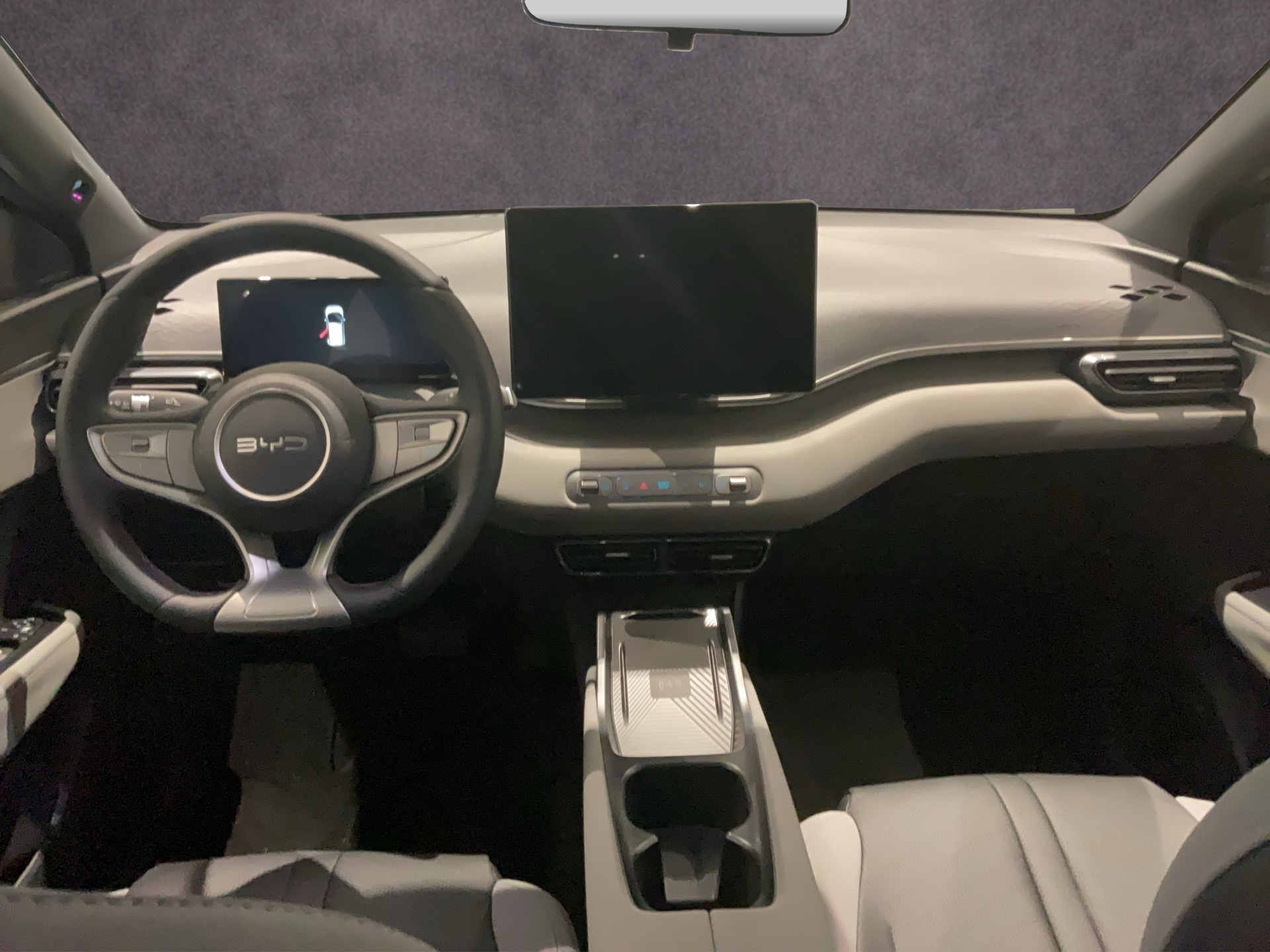 BYD Dolphin Surf Comfort-image-9