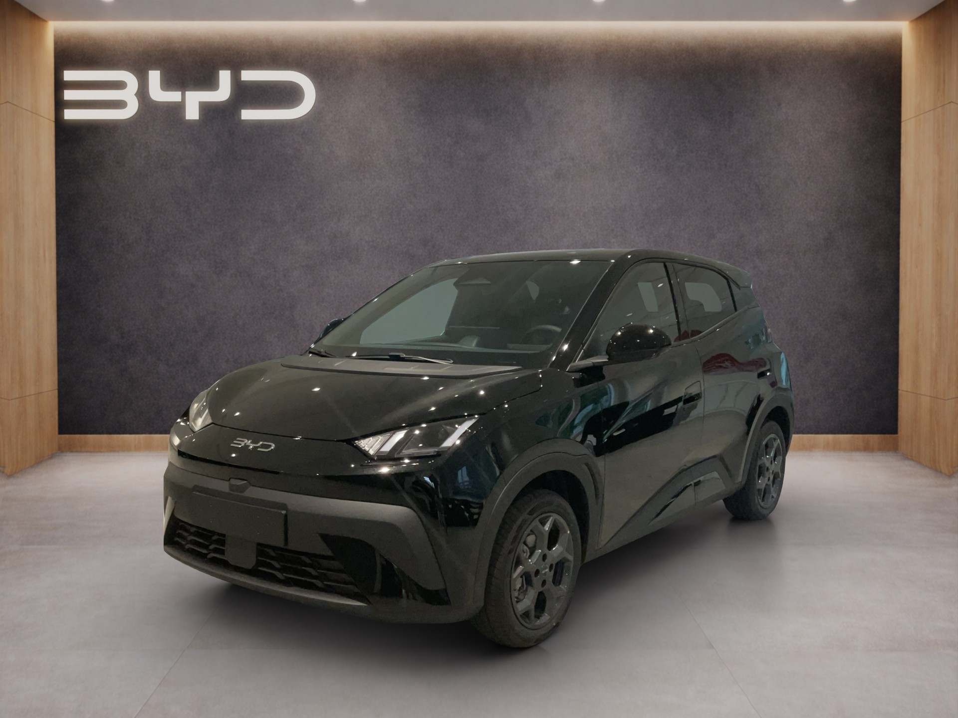 BYD Dolphin Surf Comfort-image-0