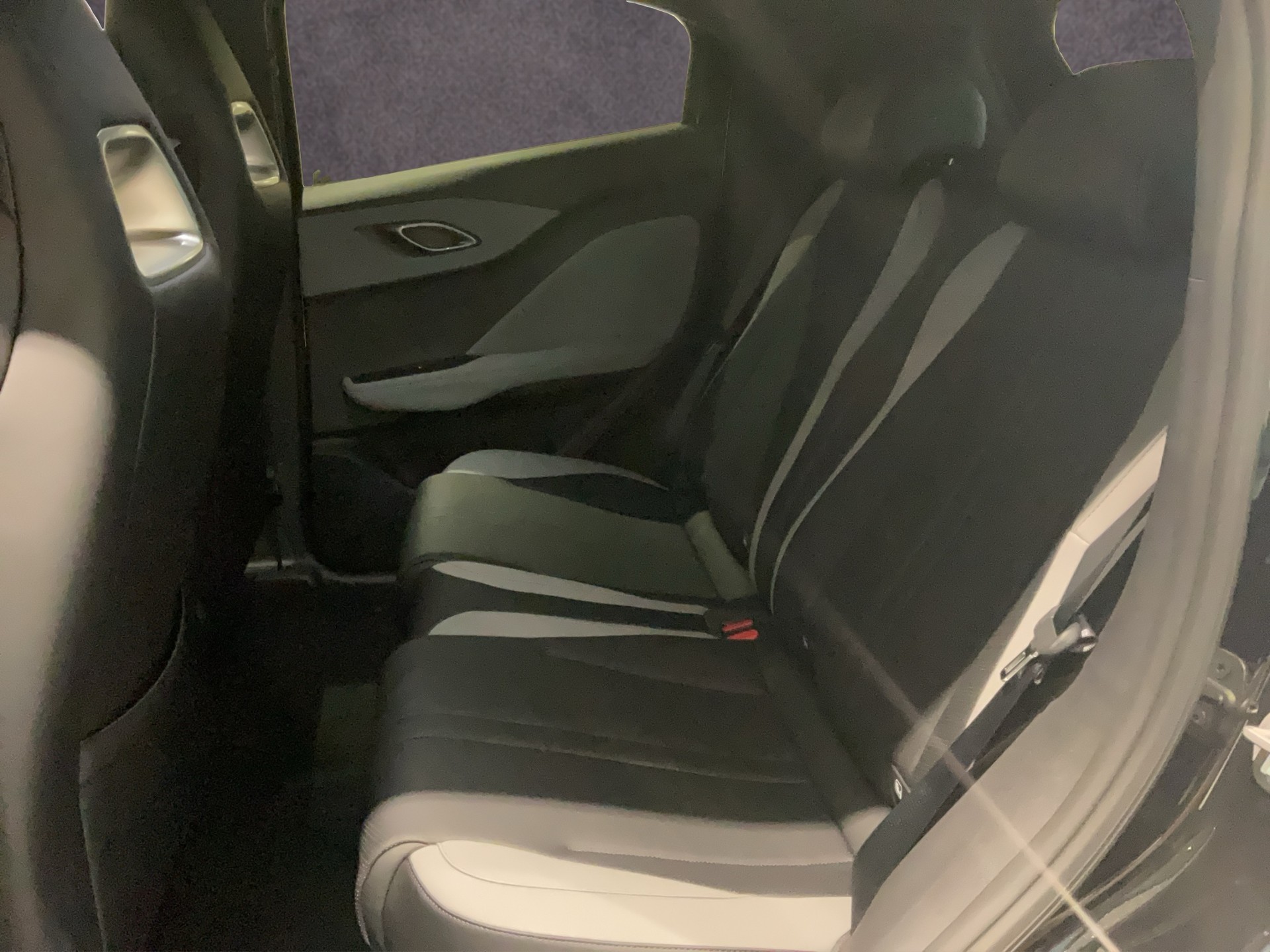 BYD Dolphin Surf Comfort-image-11