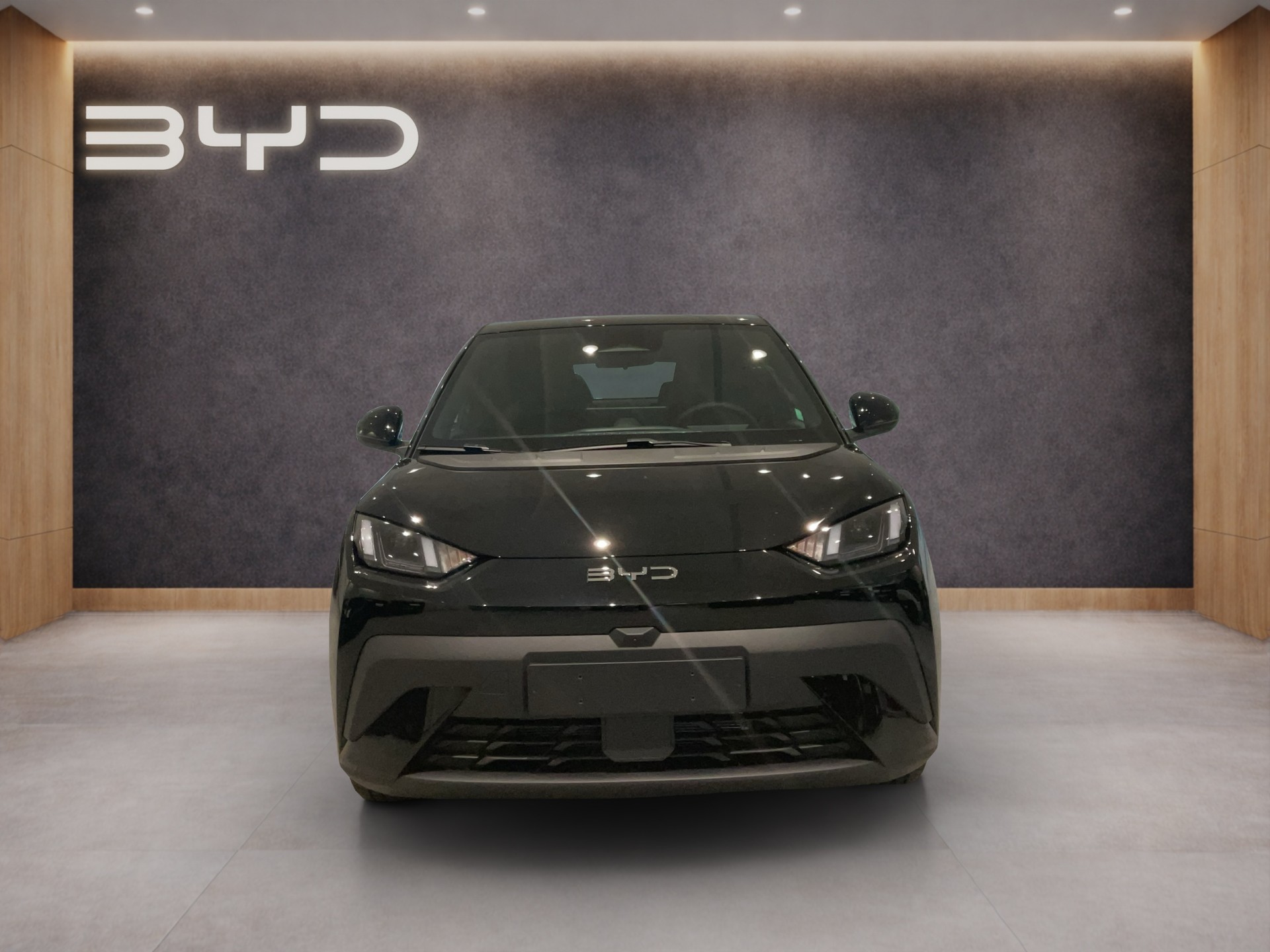 BYD Dolphin Surf Comfort-image-1
