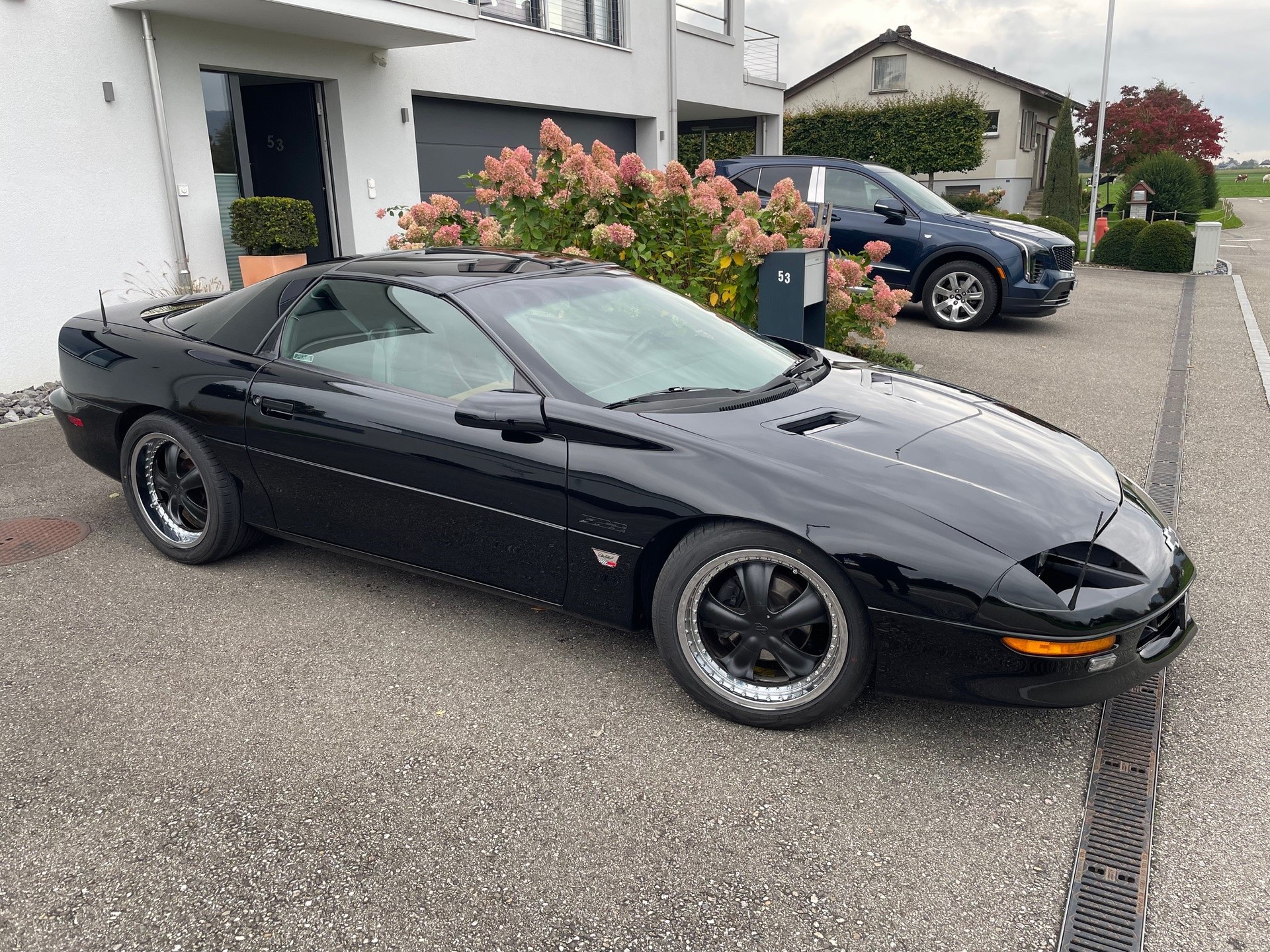 CHEVROLET Z-28 Targa "Dale Earnhardt"-image-5