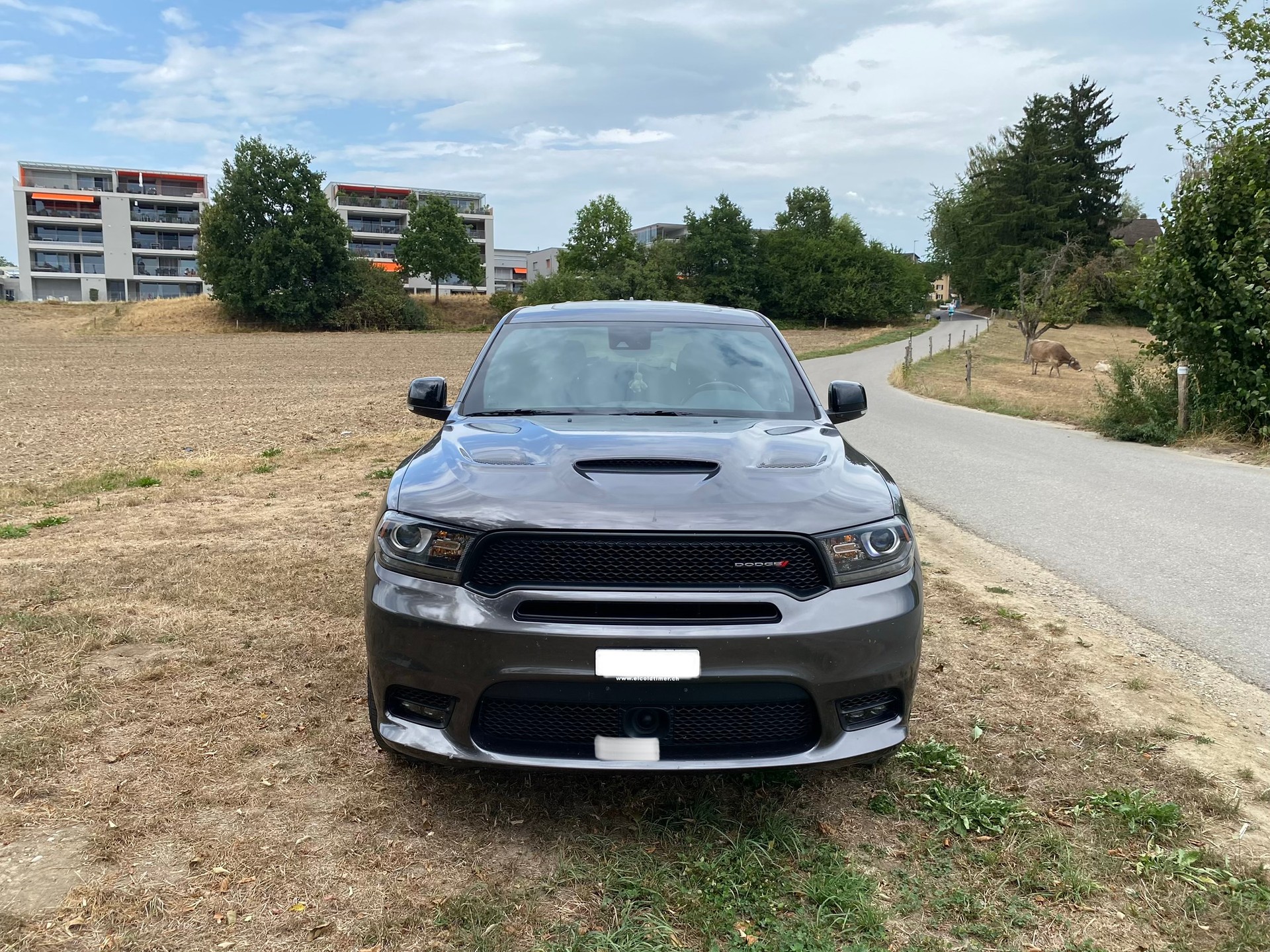 DODGE GT Sport-image-3