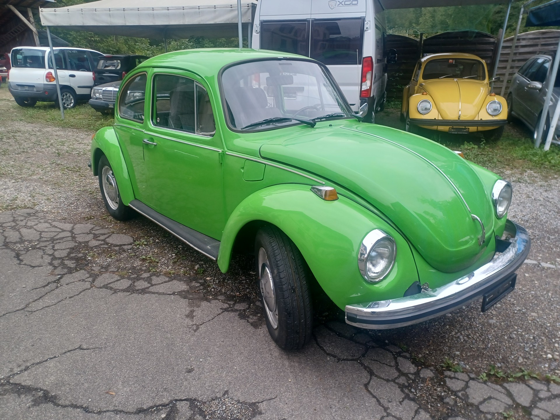 VW 1303-image-0