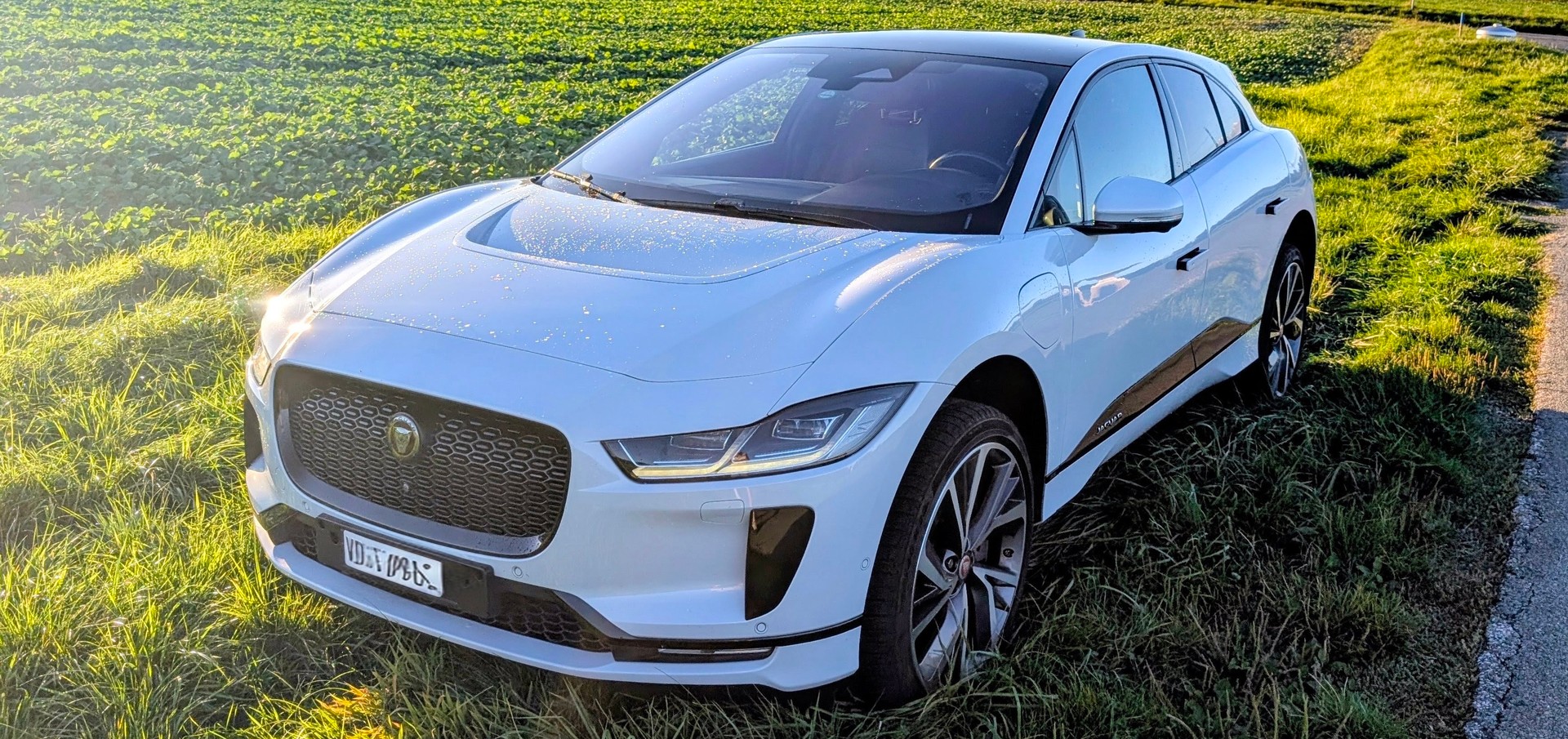 JAGUAR EV 400 SE AWD-image-6