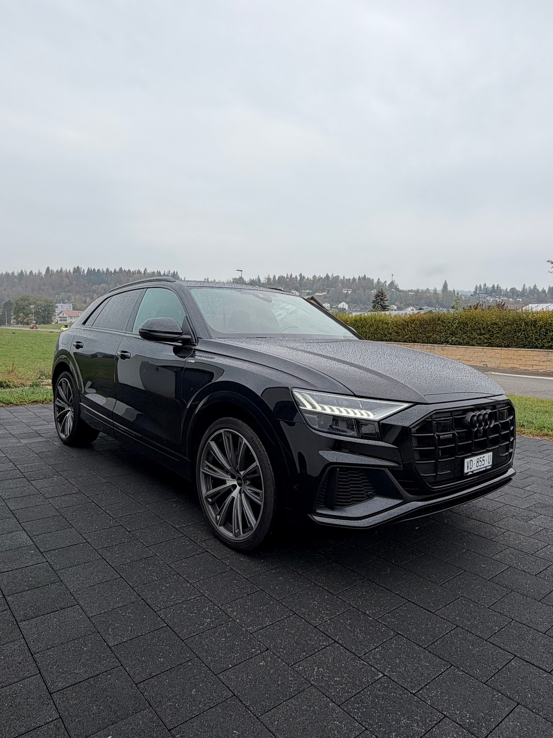 AUDI Q8 50 TDI Black Edition quattro tiptronic-image-3