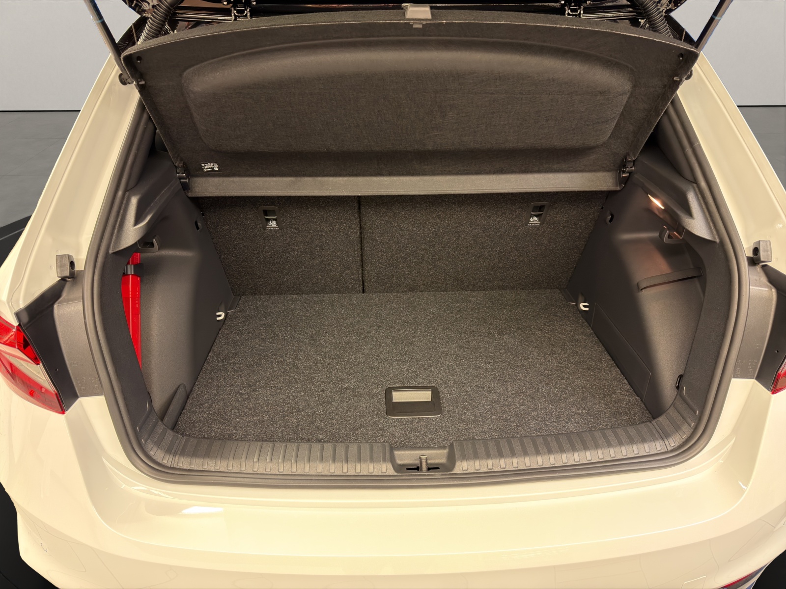 SKODA Fabia 1.0 TSI Monte Carlo DSG-image-5