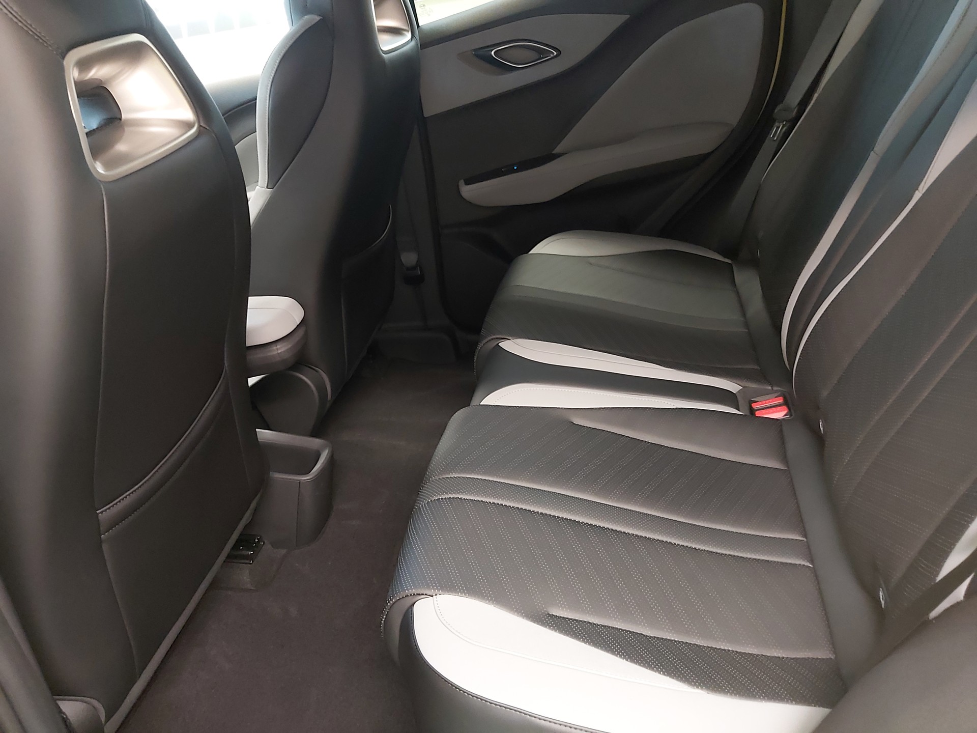 BYD Dolphin Surf Comfort-image-18