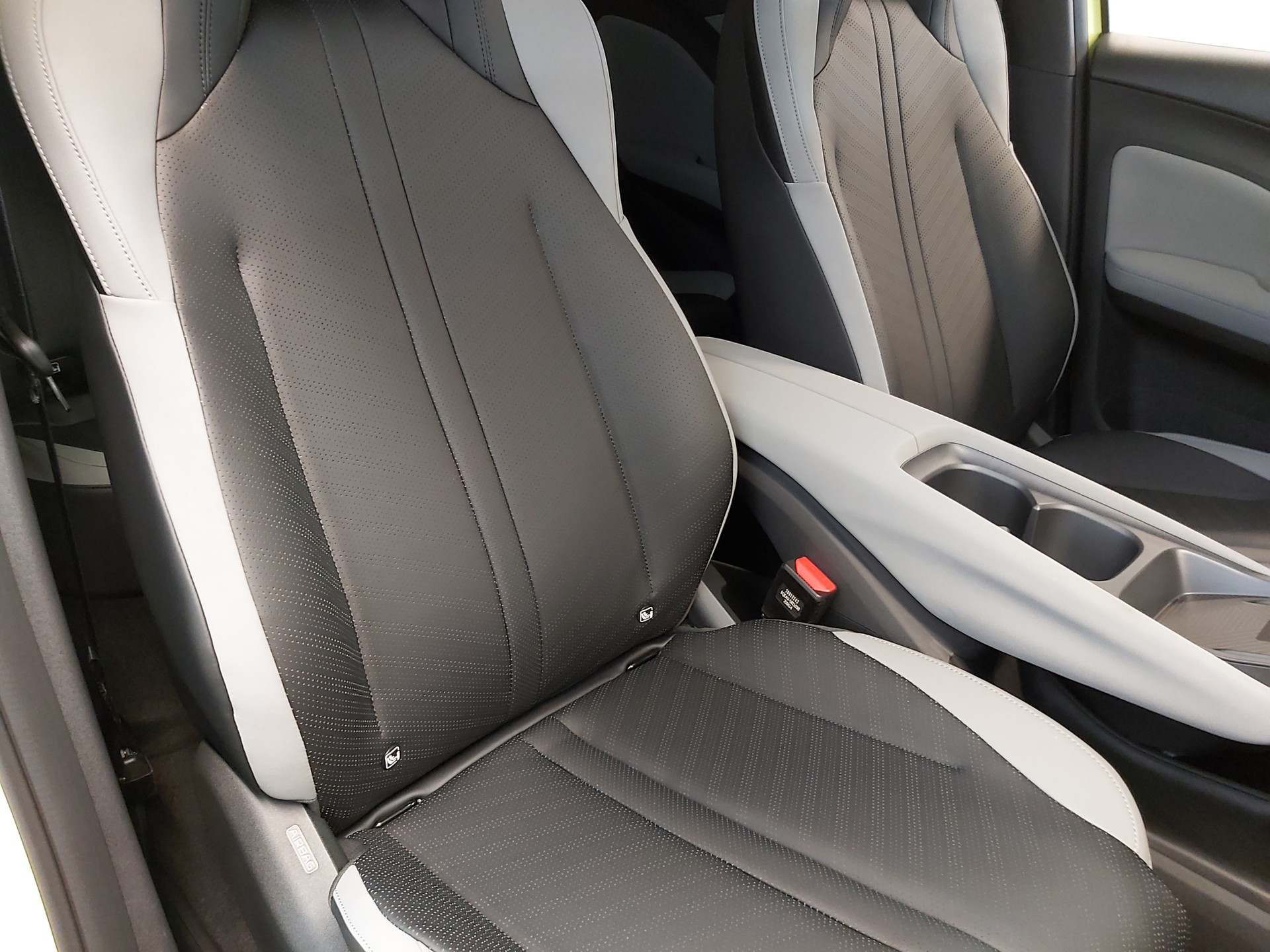BYD Dolphin Surf Comfort-image-11