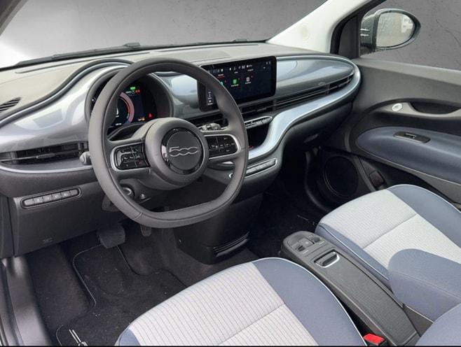 FIAT 500 Icon-image-3