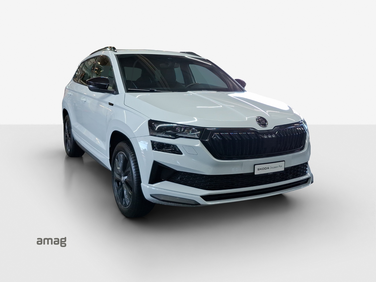 SKODA Karoq 2.0 TSI SportLine 4x4 DSG-image-6