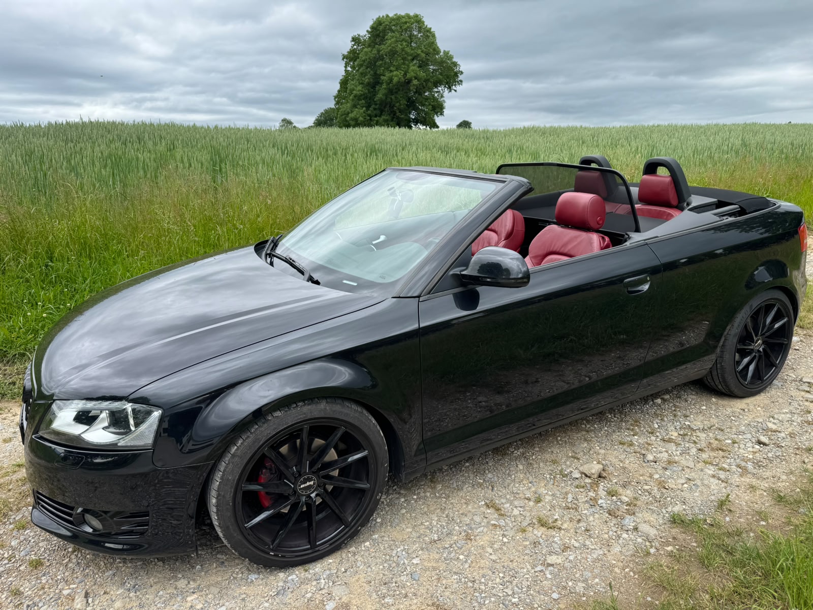 AUDI A3 Cabriolet 2.0 TDI Ambition S-tronic-image-2