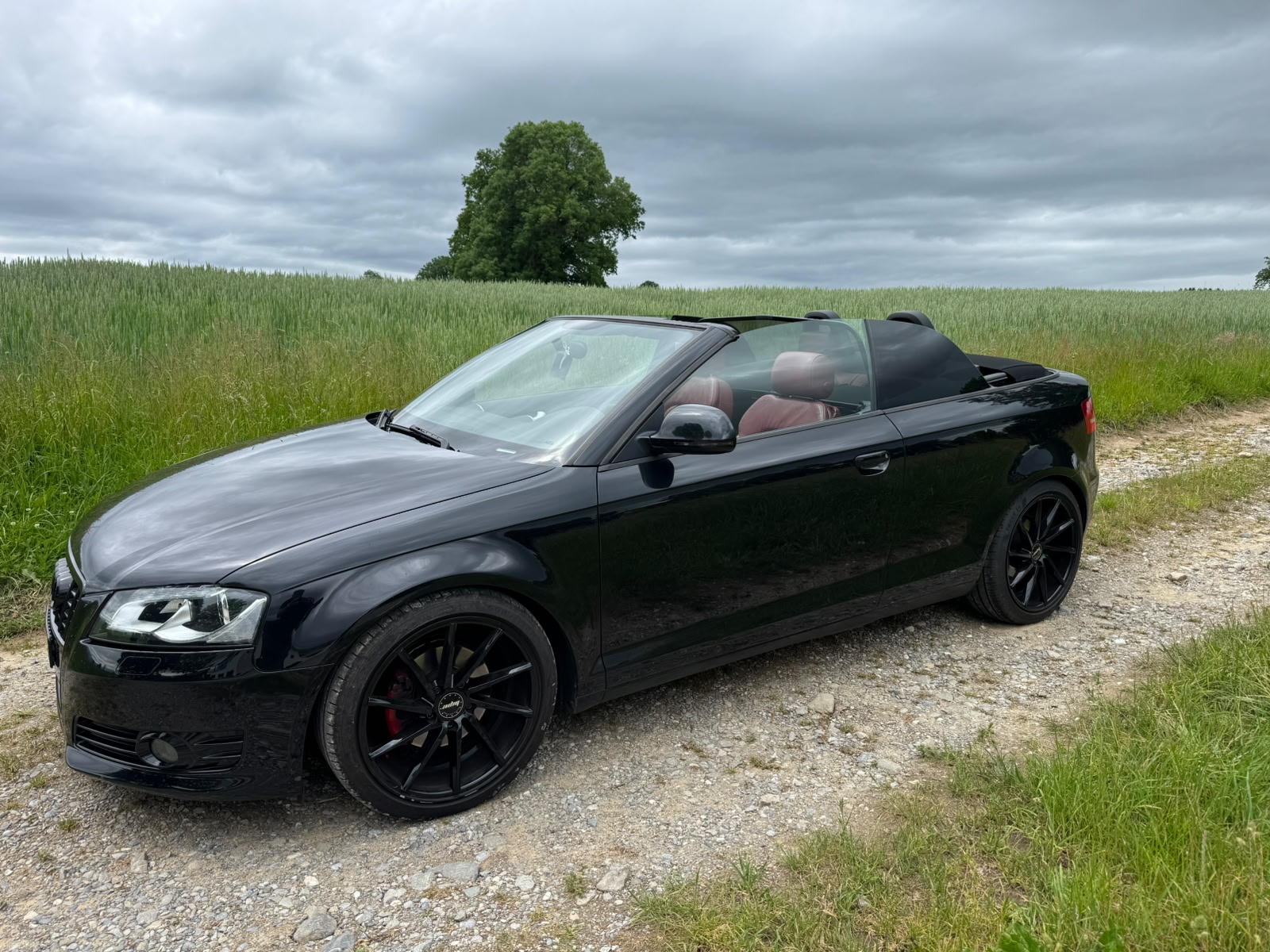 AUDI A3 Cabriolet 2.0 TDI Ambition S-tronic-image-11