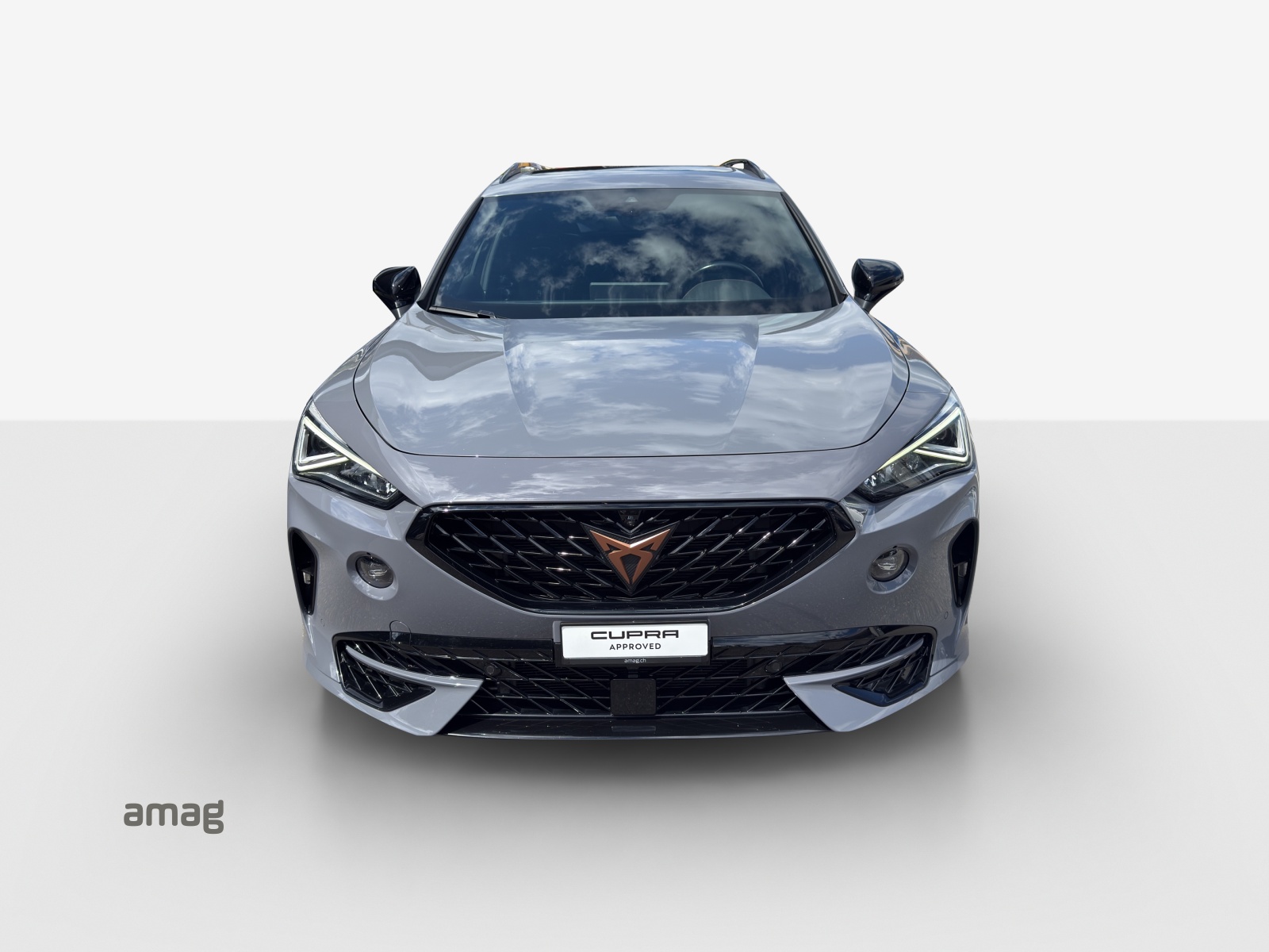 CUPRA Formentor 2.0TSI VZ 4Drive DSG-image-6