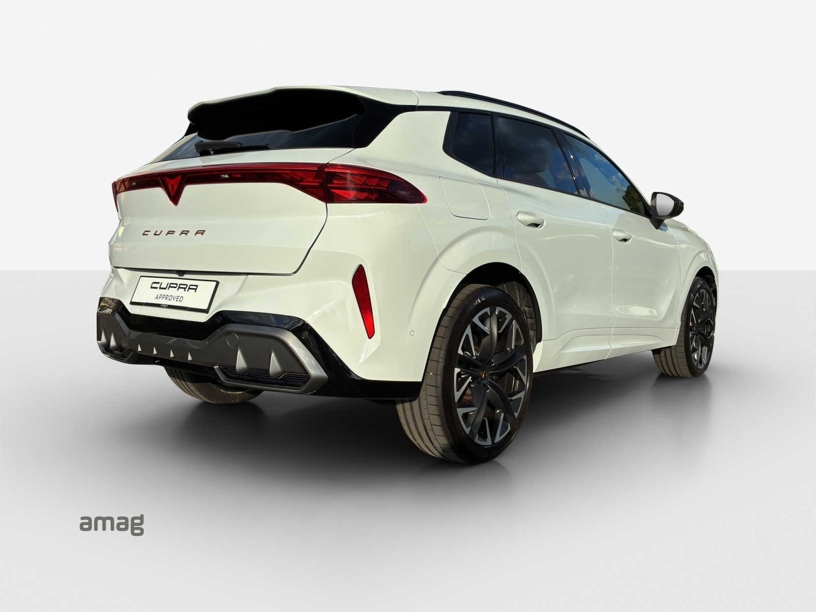 CUPRA Terramar 2.0 TSI DSG 4Drive VZ-image-4
