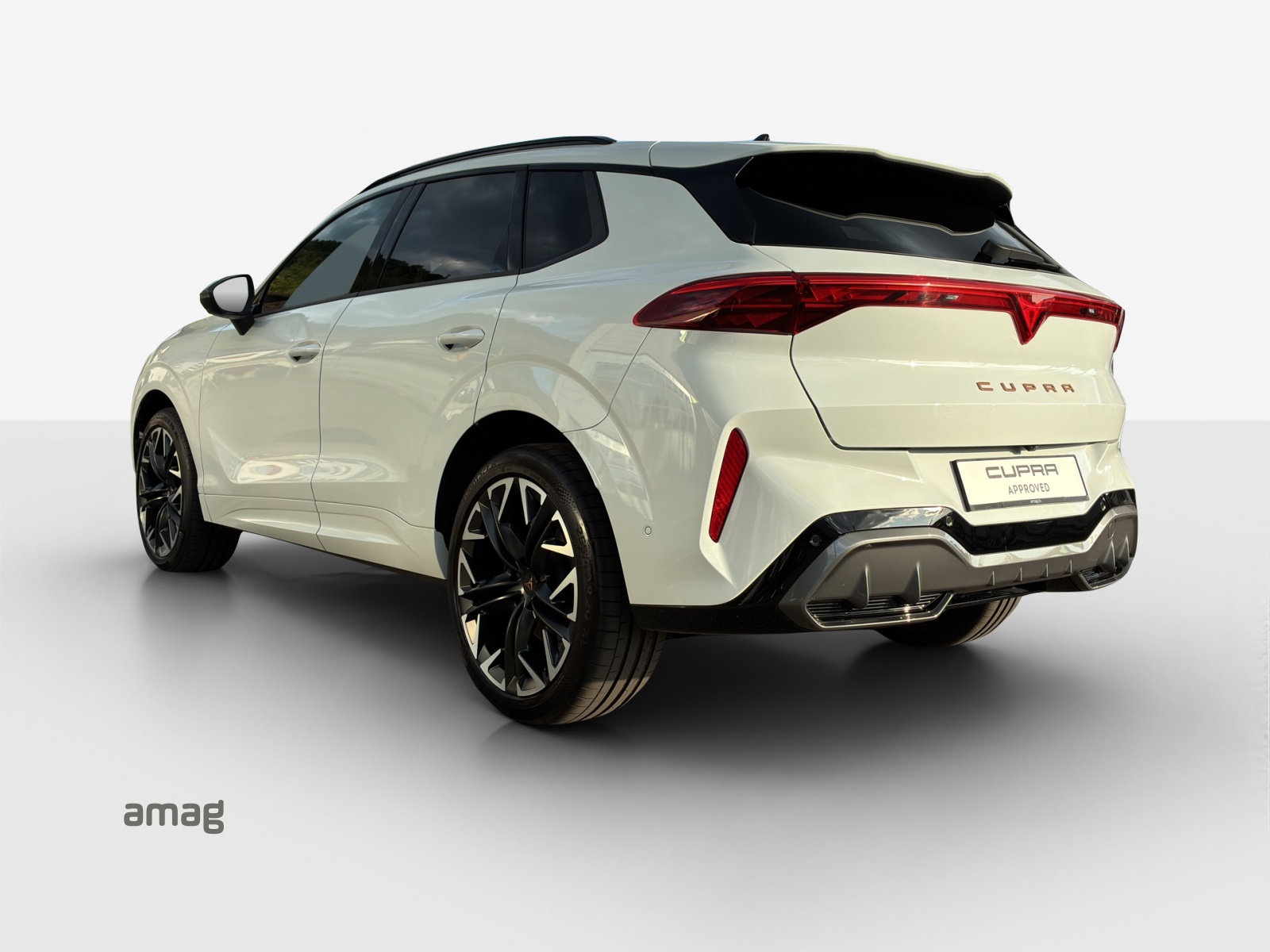 CUPRA Terramar 2.0 TSI DSG 4Drive VZ-image-2