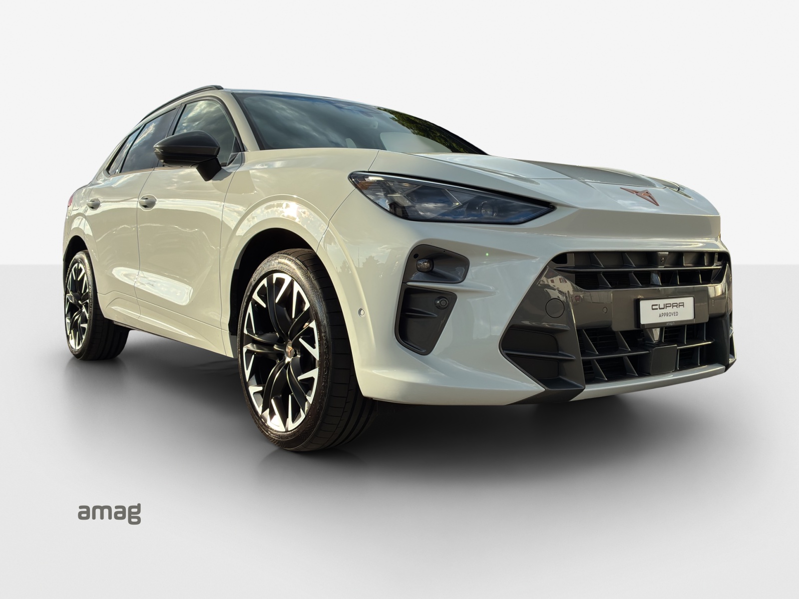 CUPRA Terramar 2.0 TSI DSG 4Drive VZ-image-5