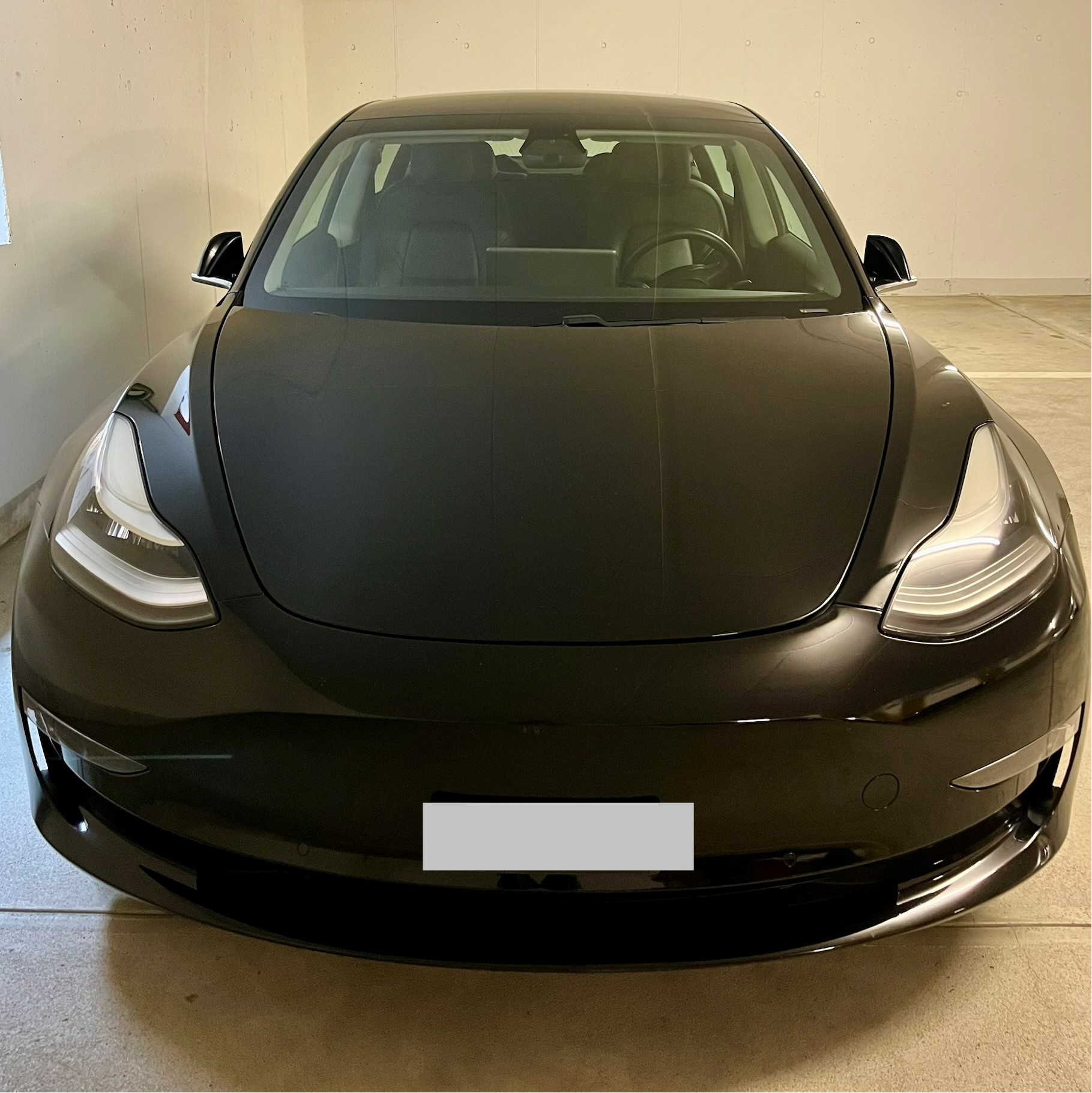 TESLA Performance D-image-1