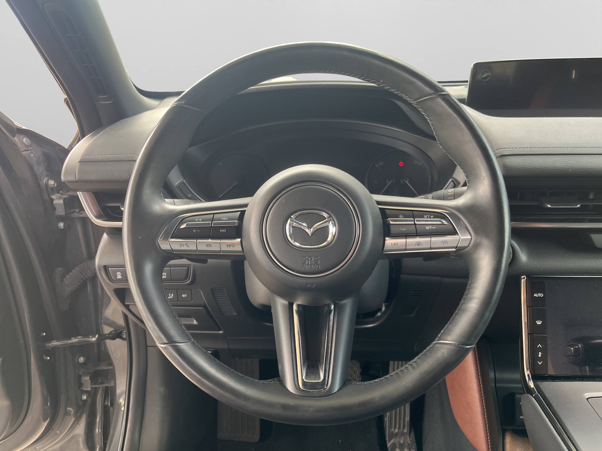 MAZDA MX-30 e-Skyactiv Revolution-image-16