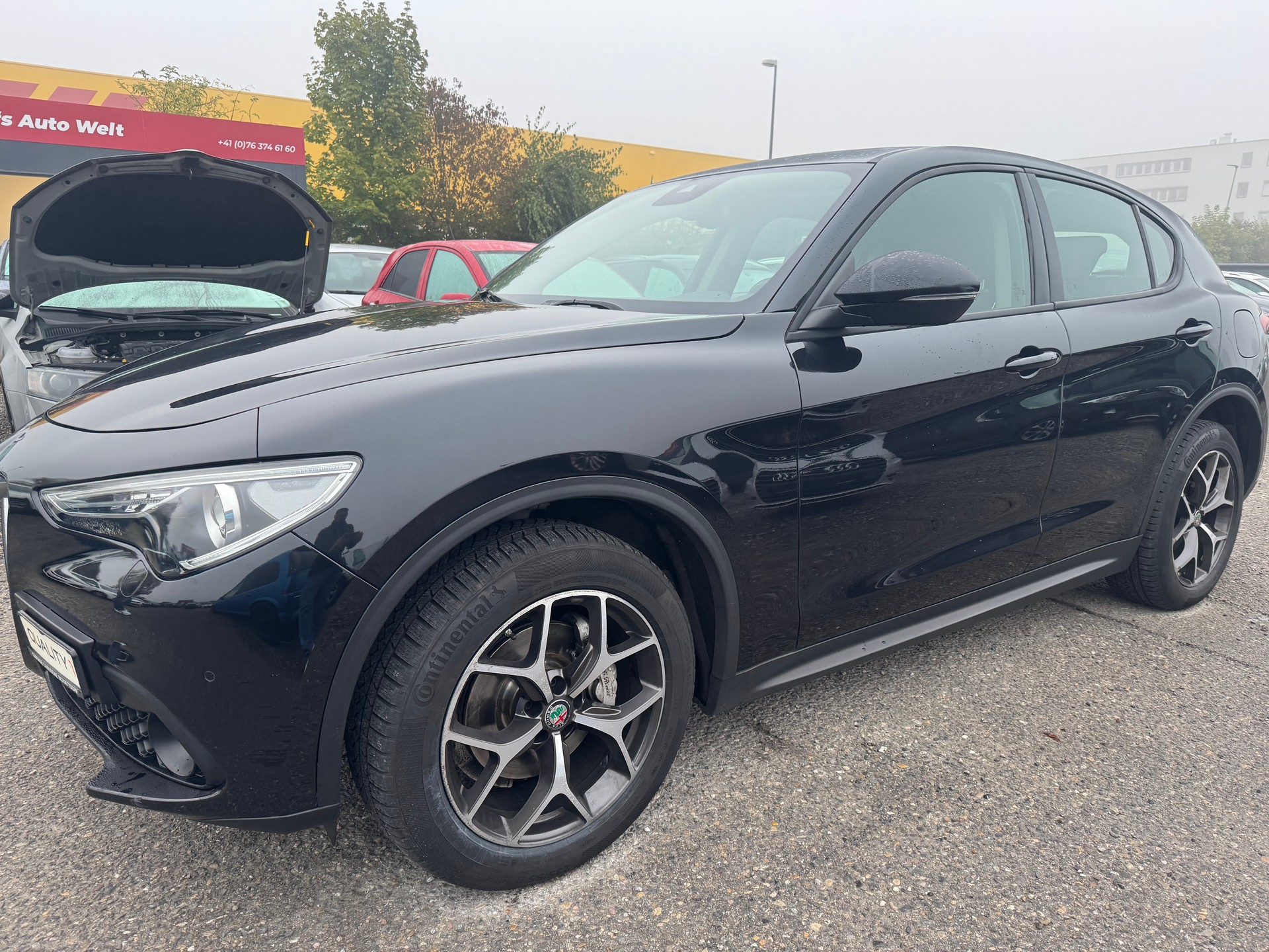 ALFA ROMEO Stelvio 2.2 JTDM Executive Q4 Automatic-image-1