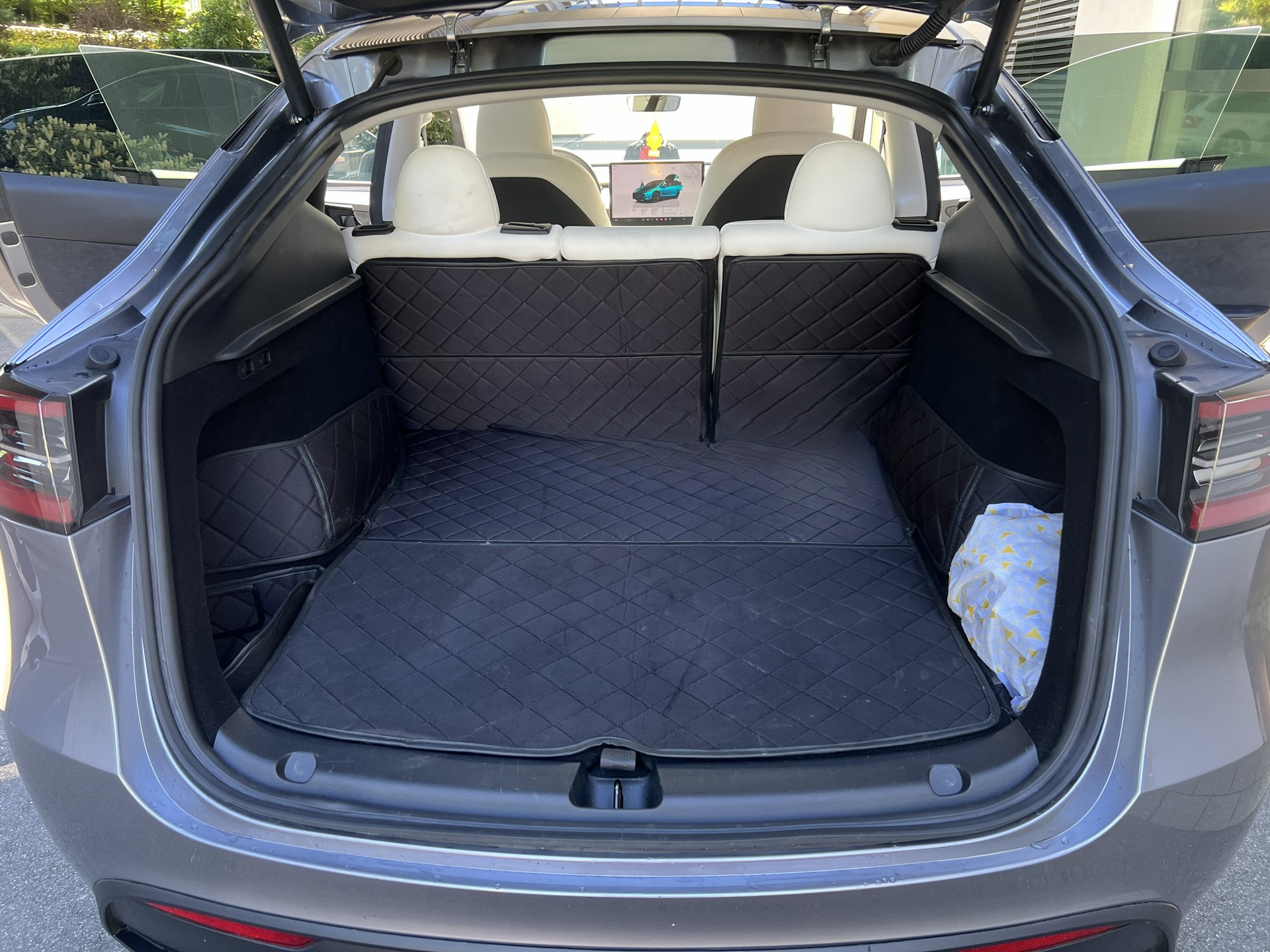 TESLA Long Range D-image-5