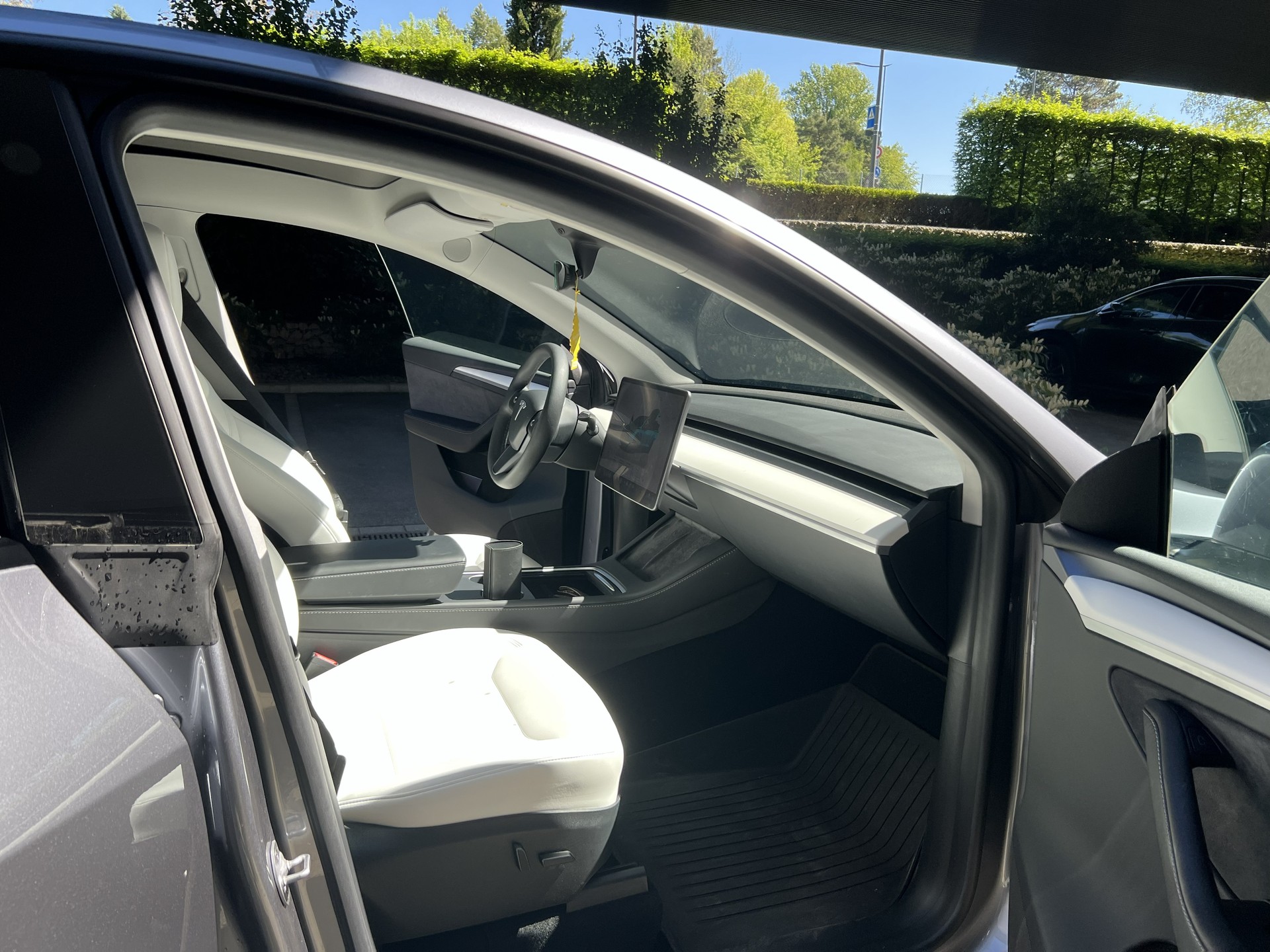 TESLA Long Range D-image-7