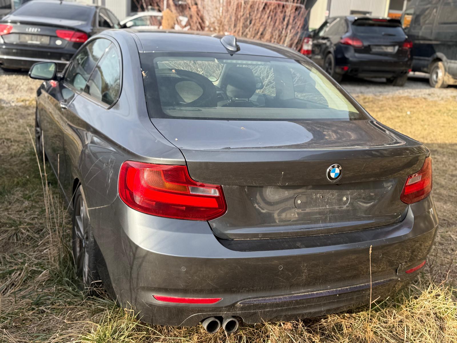 BMW 228i Sport Line Steptronic-image-3