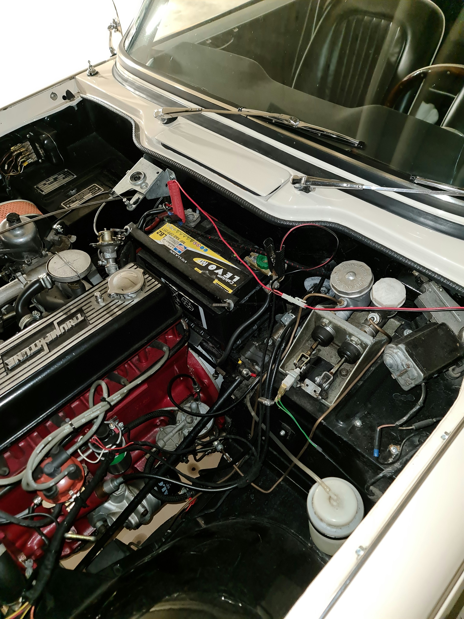 TRIUMPH TR4A-image-3