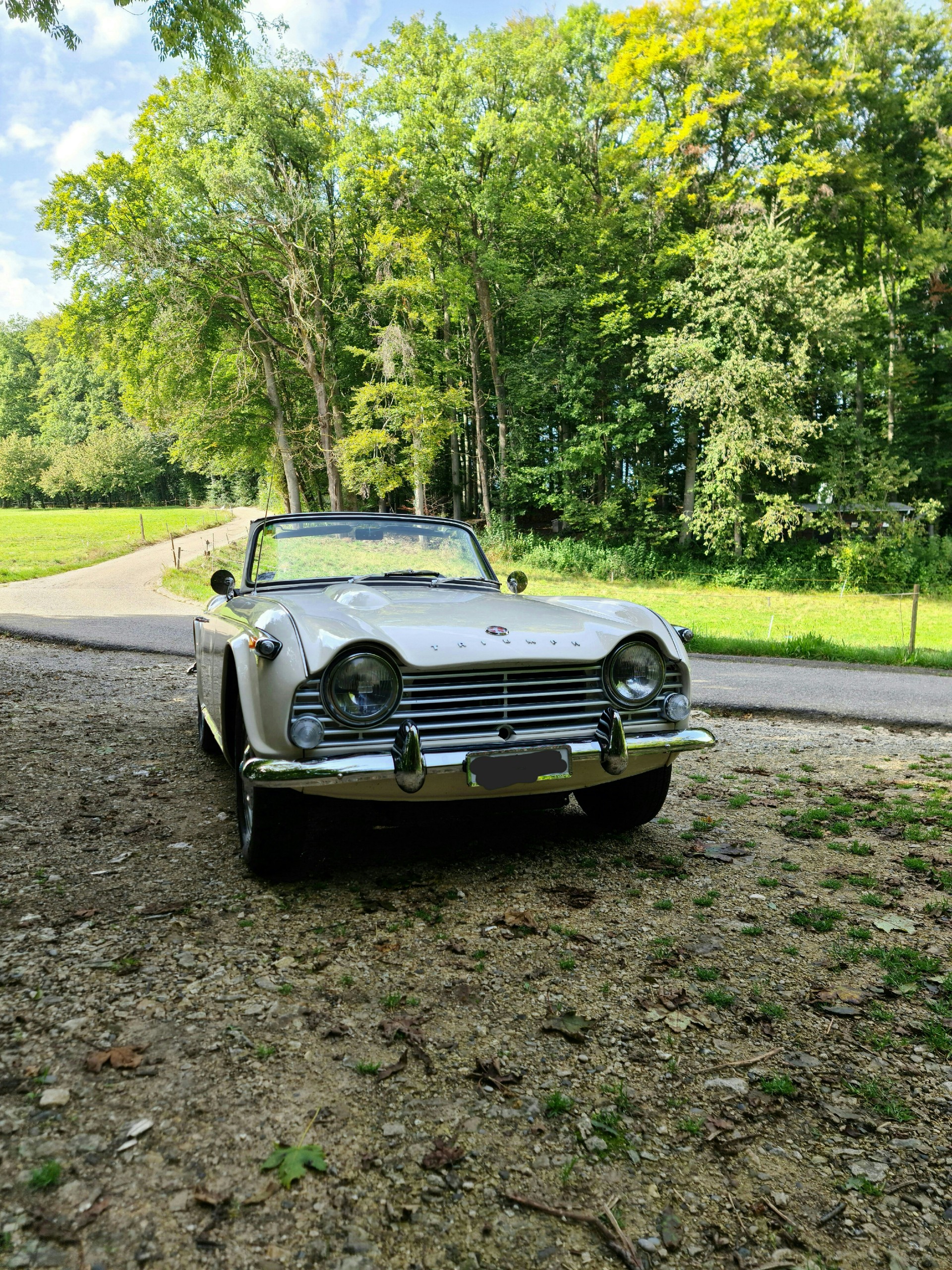 TRIUMPH TR4A-image-4
