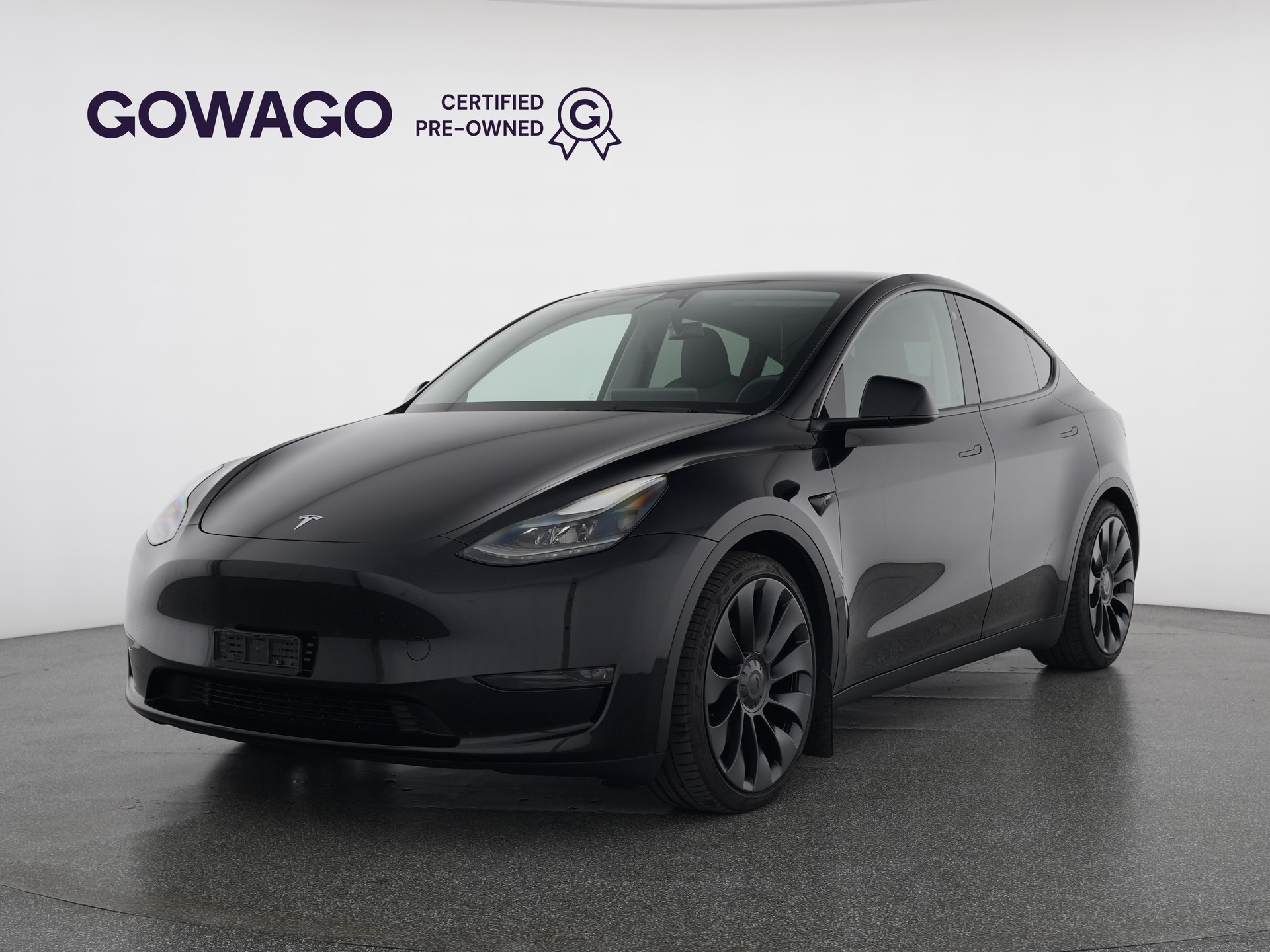 TESLA Model Y Performance-image-0