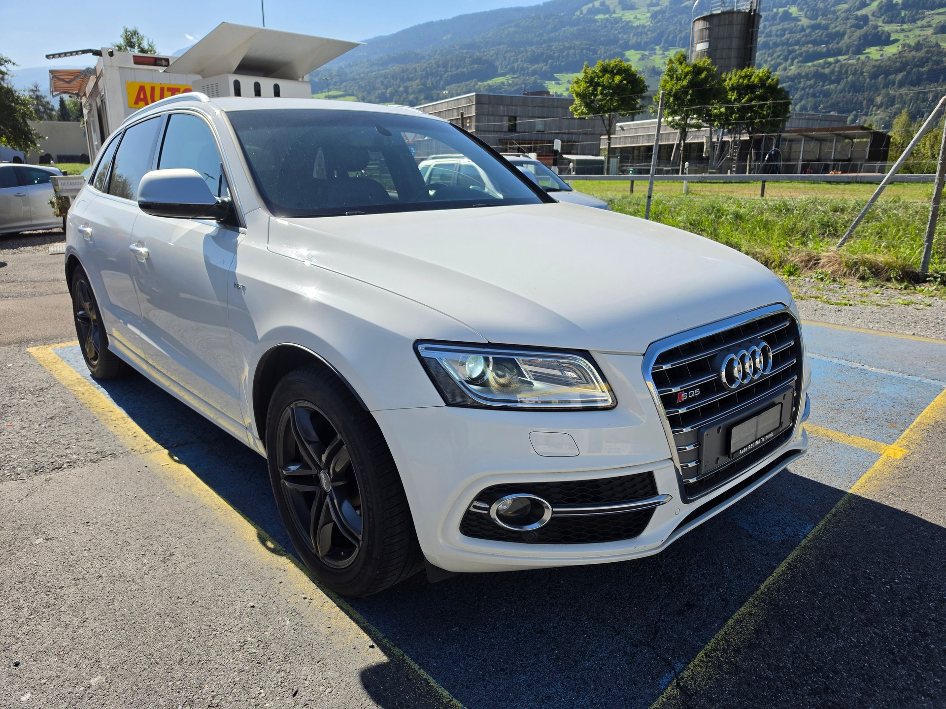 AUDI SQ5-image-1