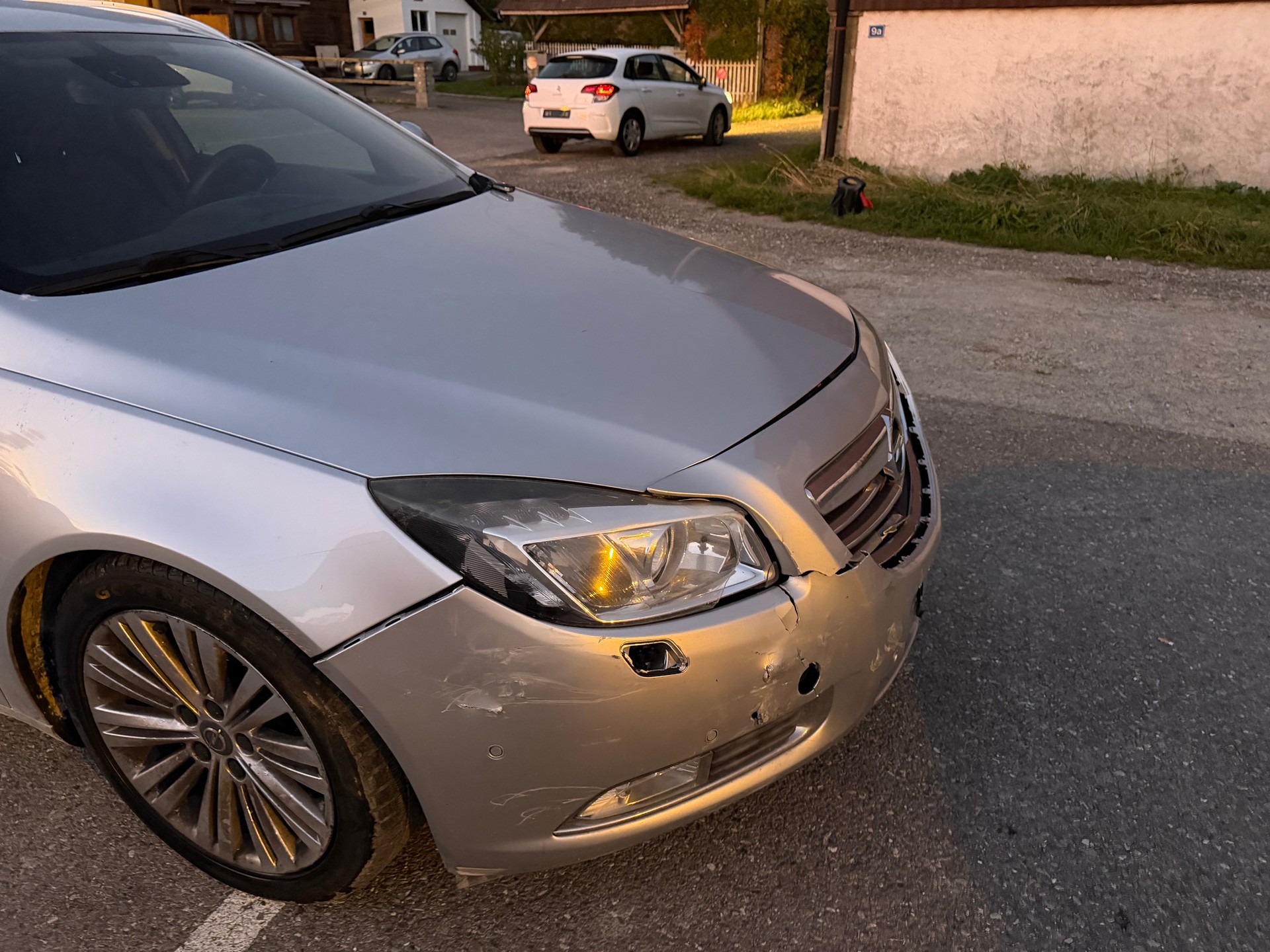 OPEL Insignia Sports Tourer 2.0 Turbo Cosmo Automatic-image-6